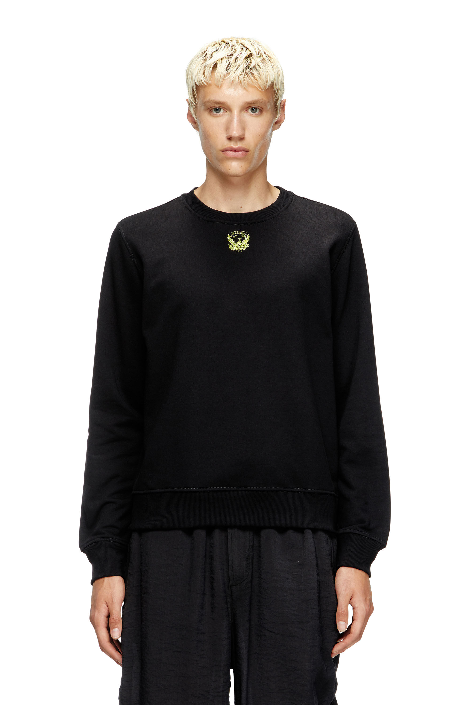 Diesel - S-GINN-T1, Sweat-shirt avec phénix brodé Homme in Noir - 1