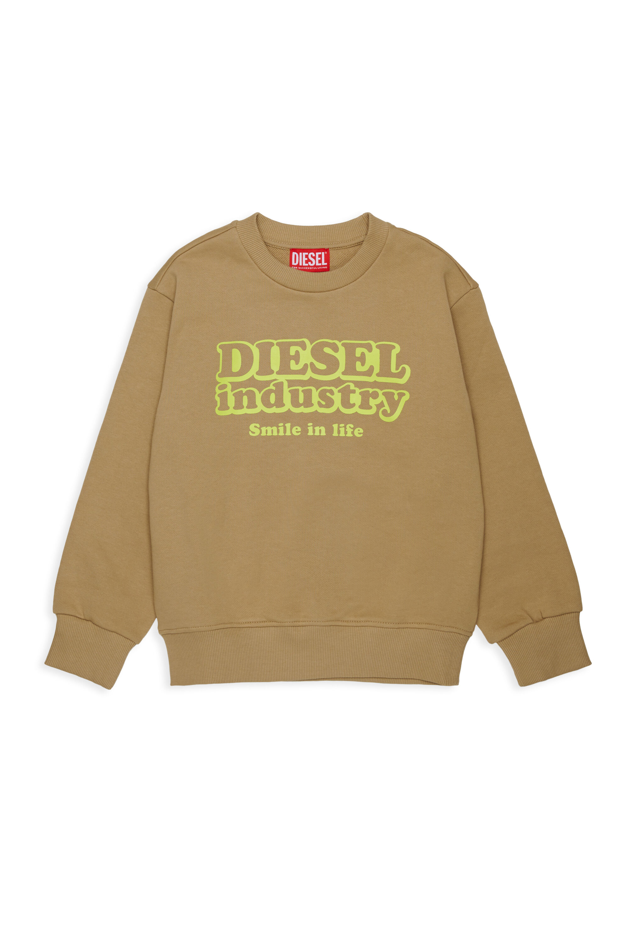 Diesel - SLODIM OVER, Felpa con stampa Diesel Industry Uomo in Marrone - 1
