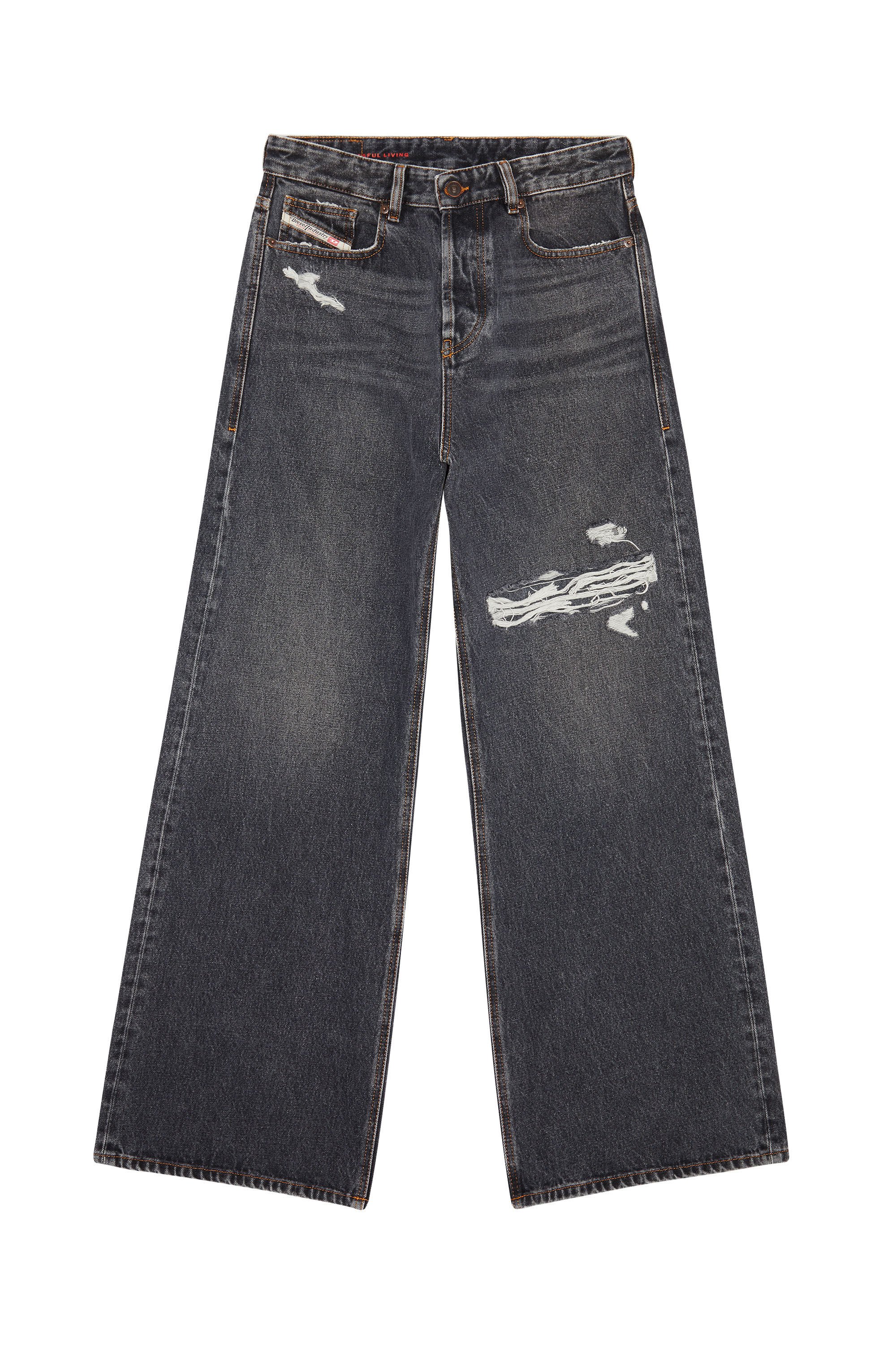 Diesel - Straight Jeans 1996 D-Sire 007F6, Noir/Gris foncé - Image 2