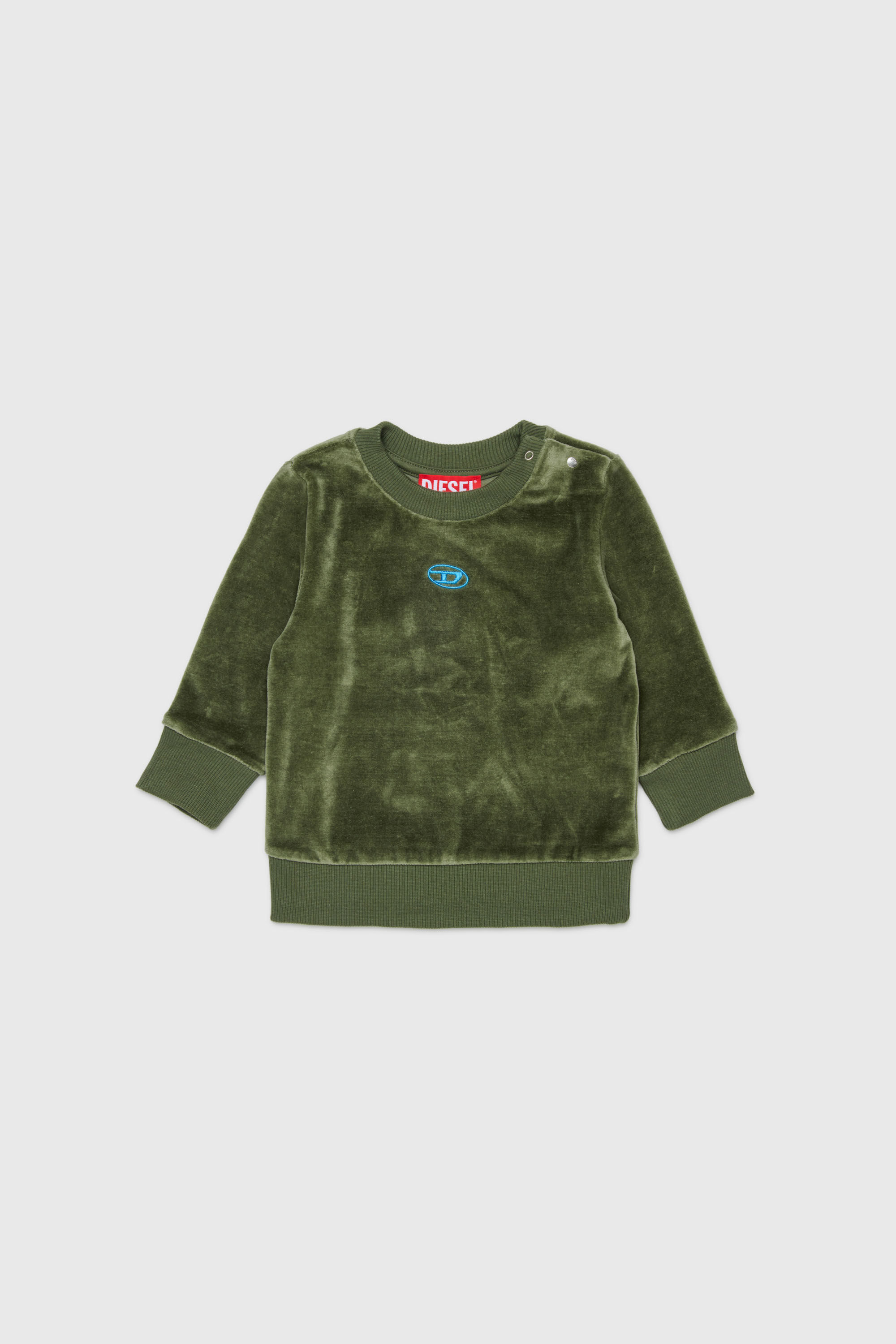 Diesel - SHENIB, Sweat-shirt en velours avec broderie Oval D Homme in Vert - 1