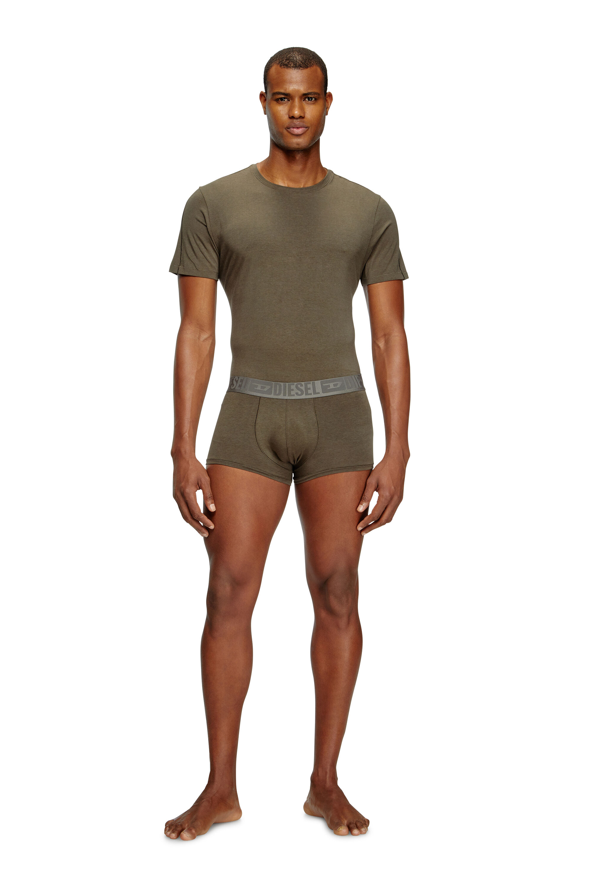 Diesel - RANDAL-D-MONO-2PACK, Lot de 2 T-shirts en jersey fluide Homme in Polychrome - 1
