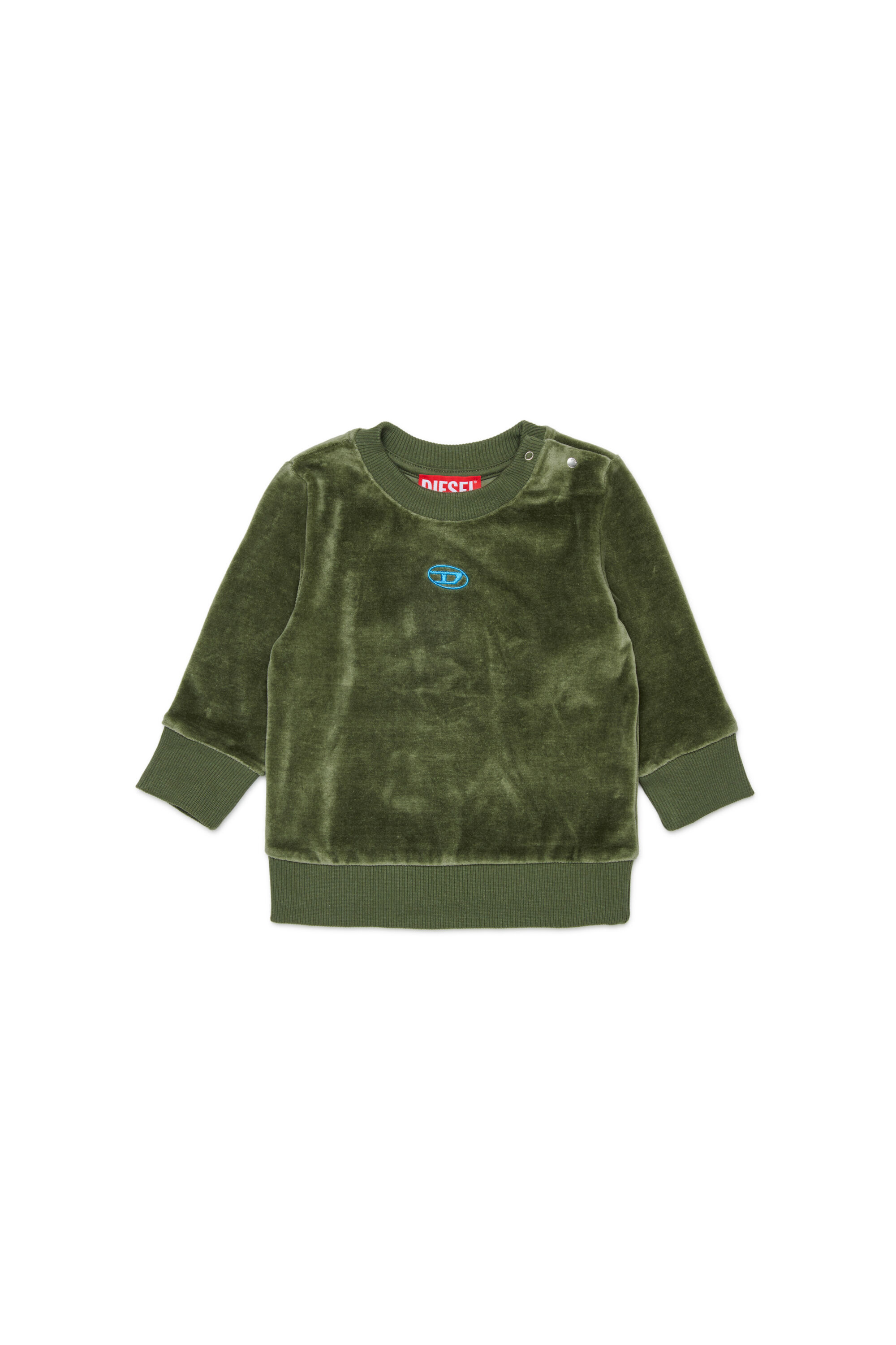 Diesel - SHENIB, Sweat-shirt en velours avec broderie Oval D Homme in Vert - 1
