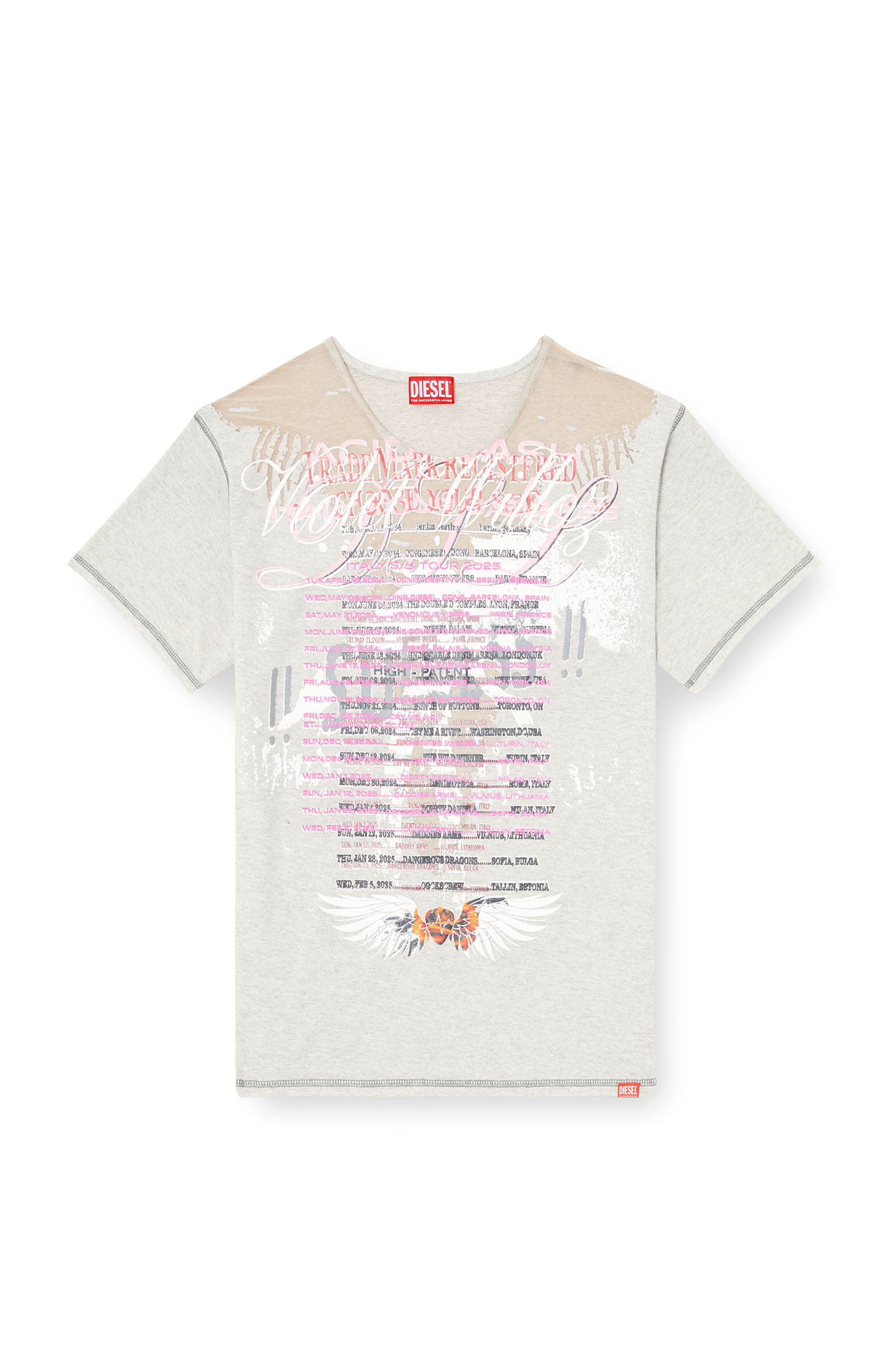 Diesel - T-NORMAC, T-shirt girocollo con stampa DJ Donna in Grigio - 2