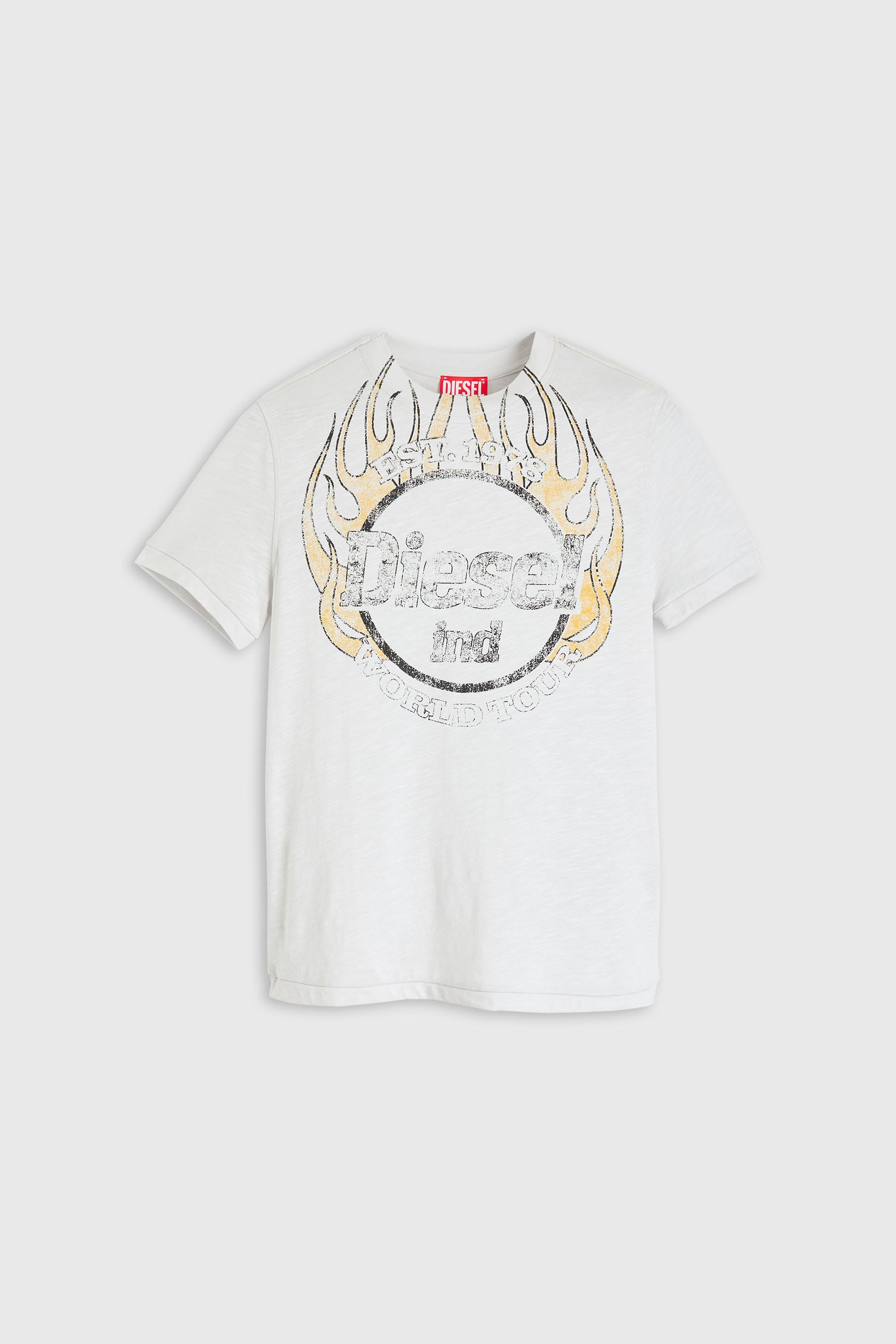 Diesel - T-REG-B1, T-shirt in jersey fiammata con stampa craquel&eacute; Donna in Bianco - 2