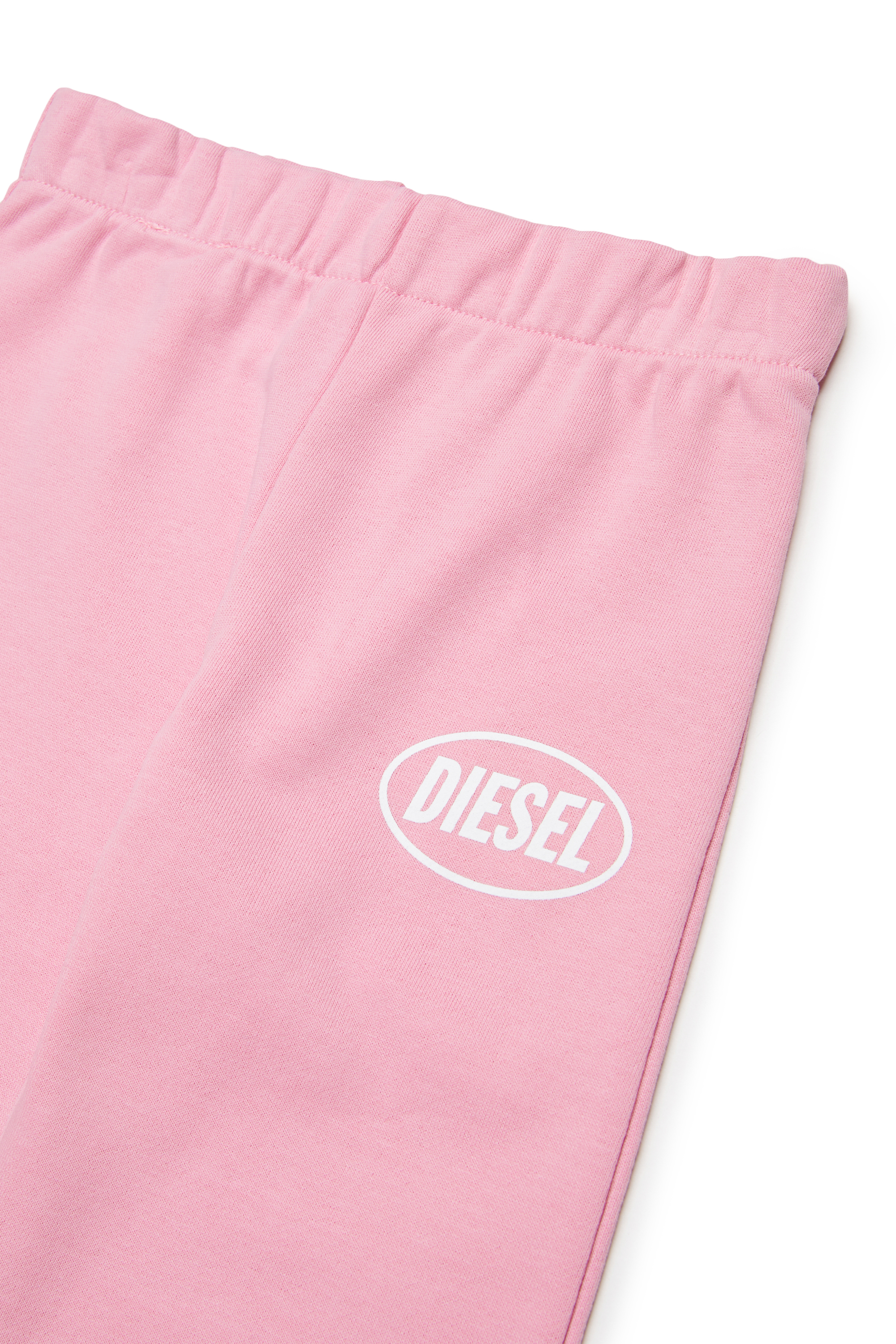 POLPYB, Rosa