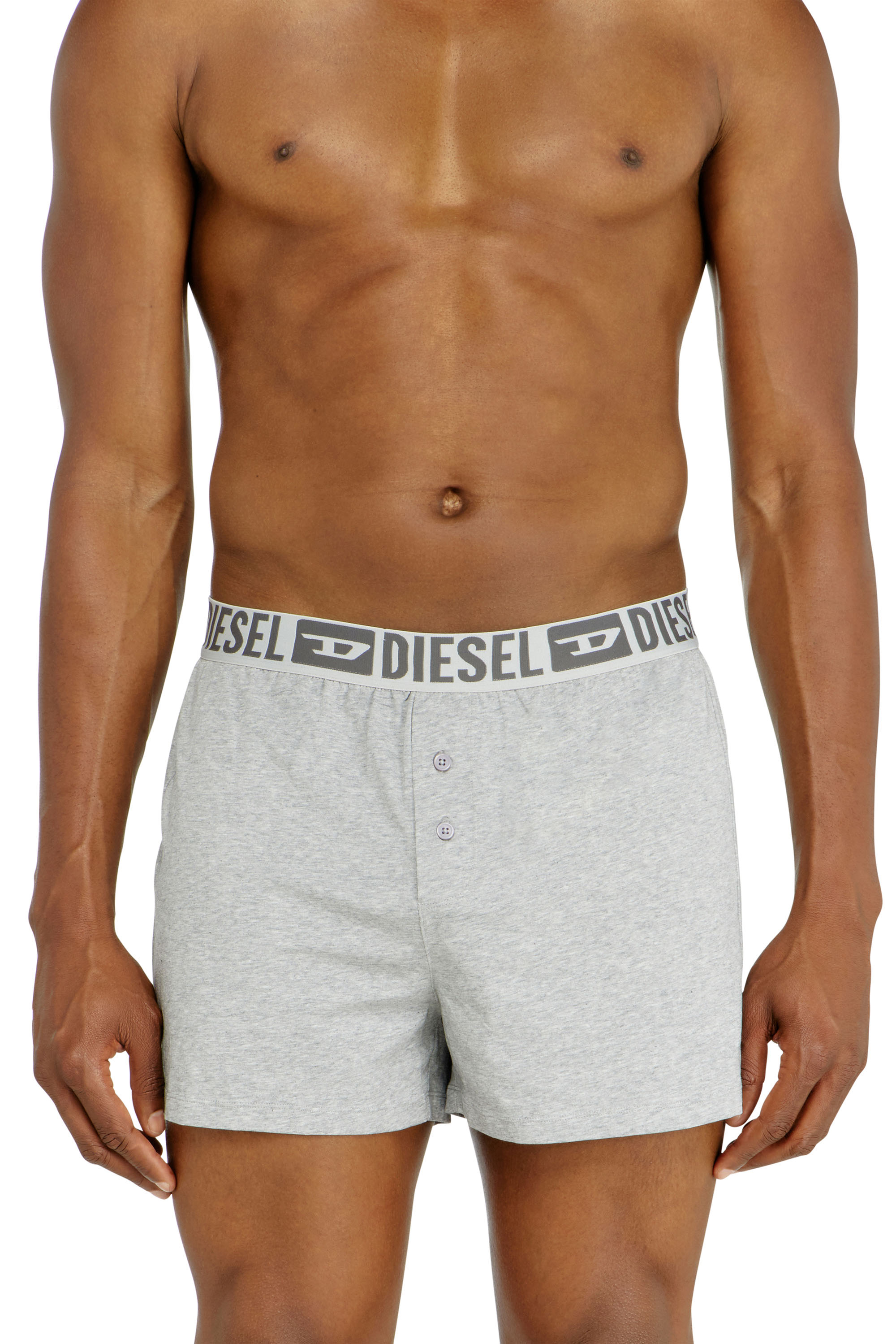 Diesel - STARKIE-D-CORE-2PACK, Set da due boxer lunghi in cotone stretch Uomo in Grigio - 2