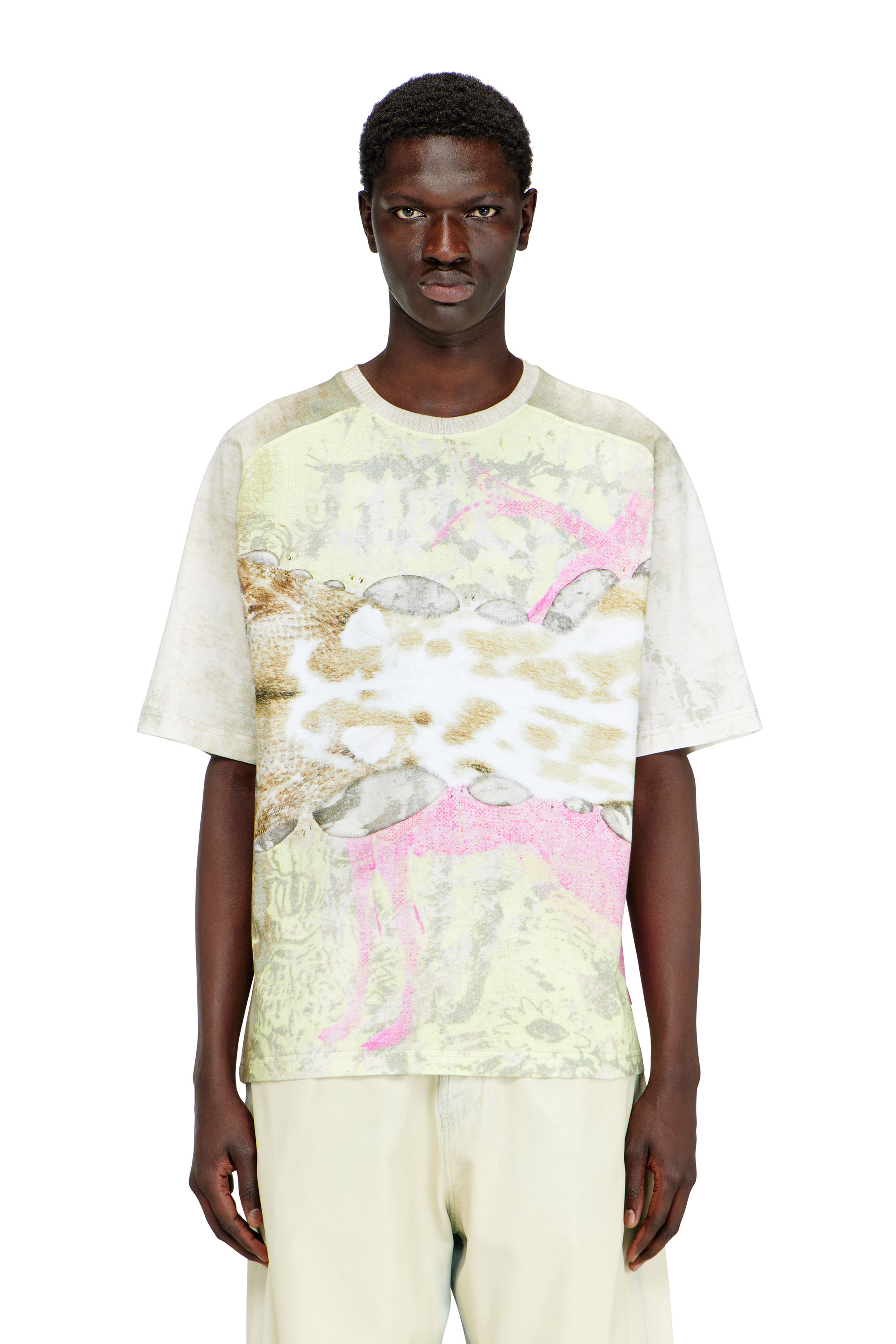Diesel - T-CLINT, T-shirt con stampa animale Uomo in Grigio - 3