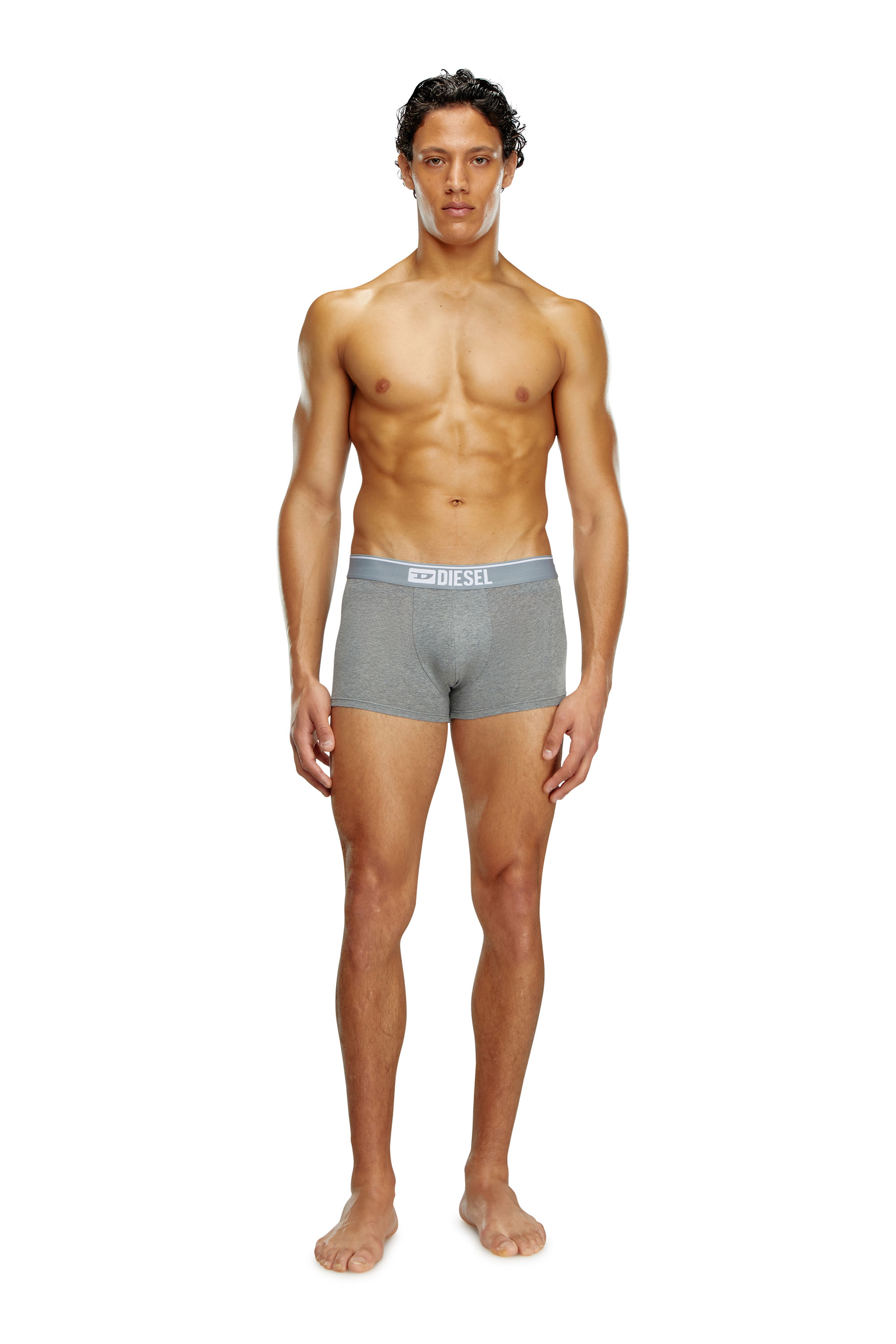 Diesel - UMBX-DAMIENTHREEPACK, Herren Einfarbige Retropants im Dreierpack in Weiss/Grau - 1