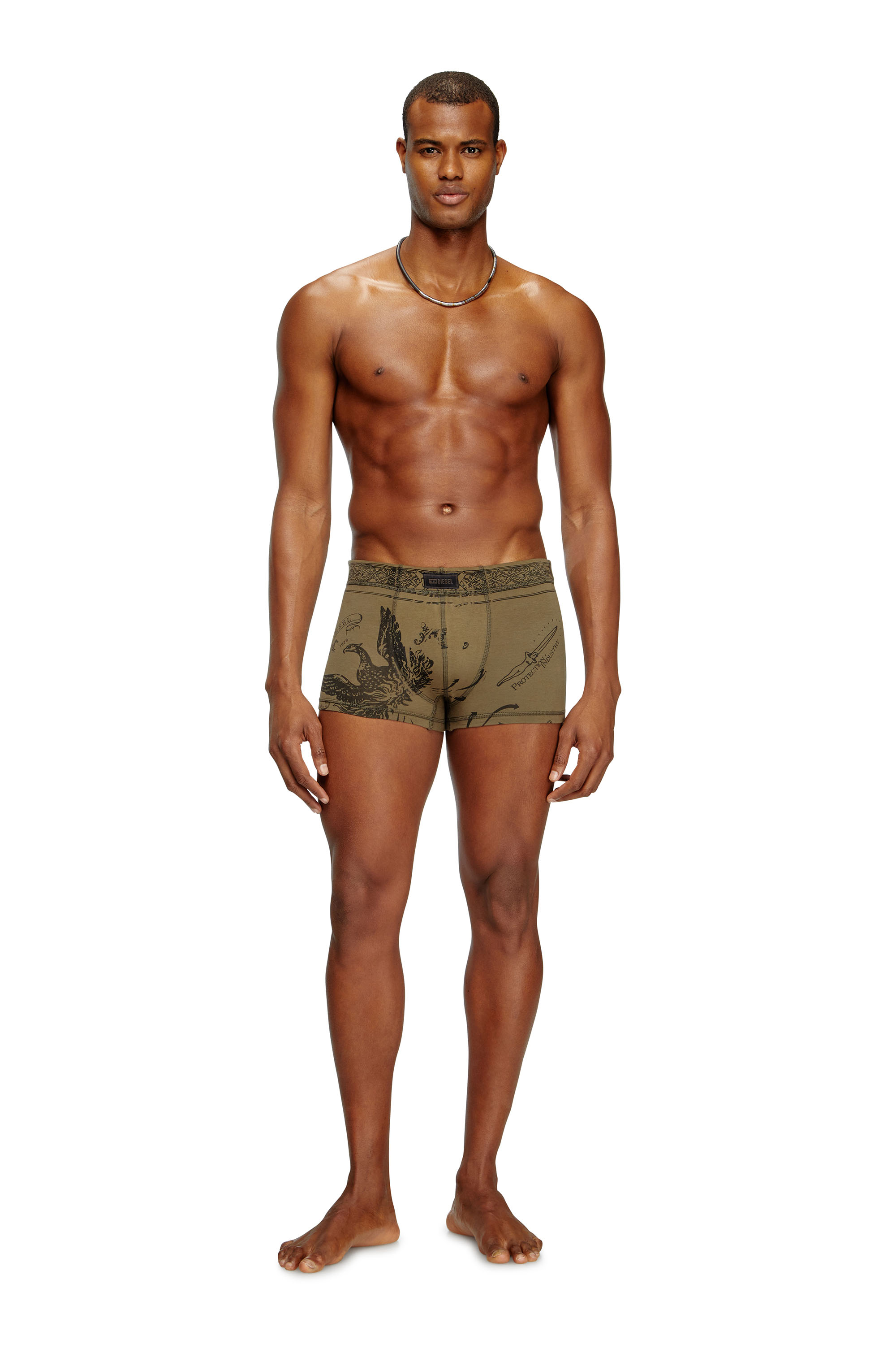Diesel - DAMIEN-UTLT, Boxer avec imprimé phénix Homme in Vert - 2