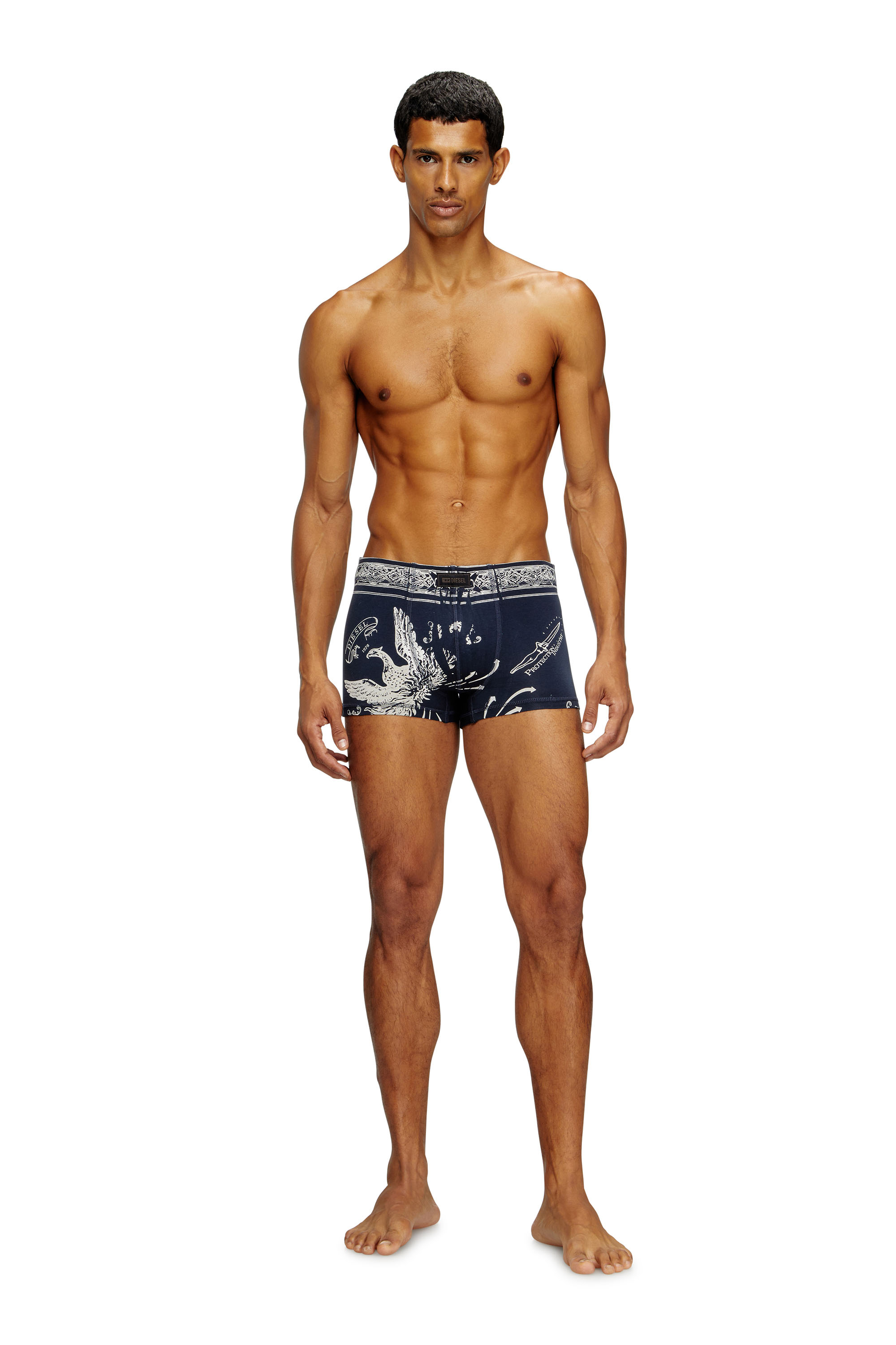 Diesel - DAMIEN-UTLT, Boxer avec imprimé phénix Homme in Bleu - 2