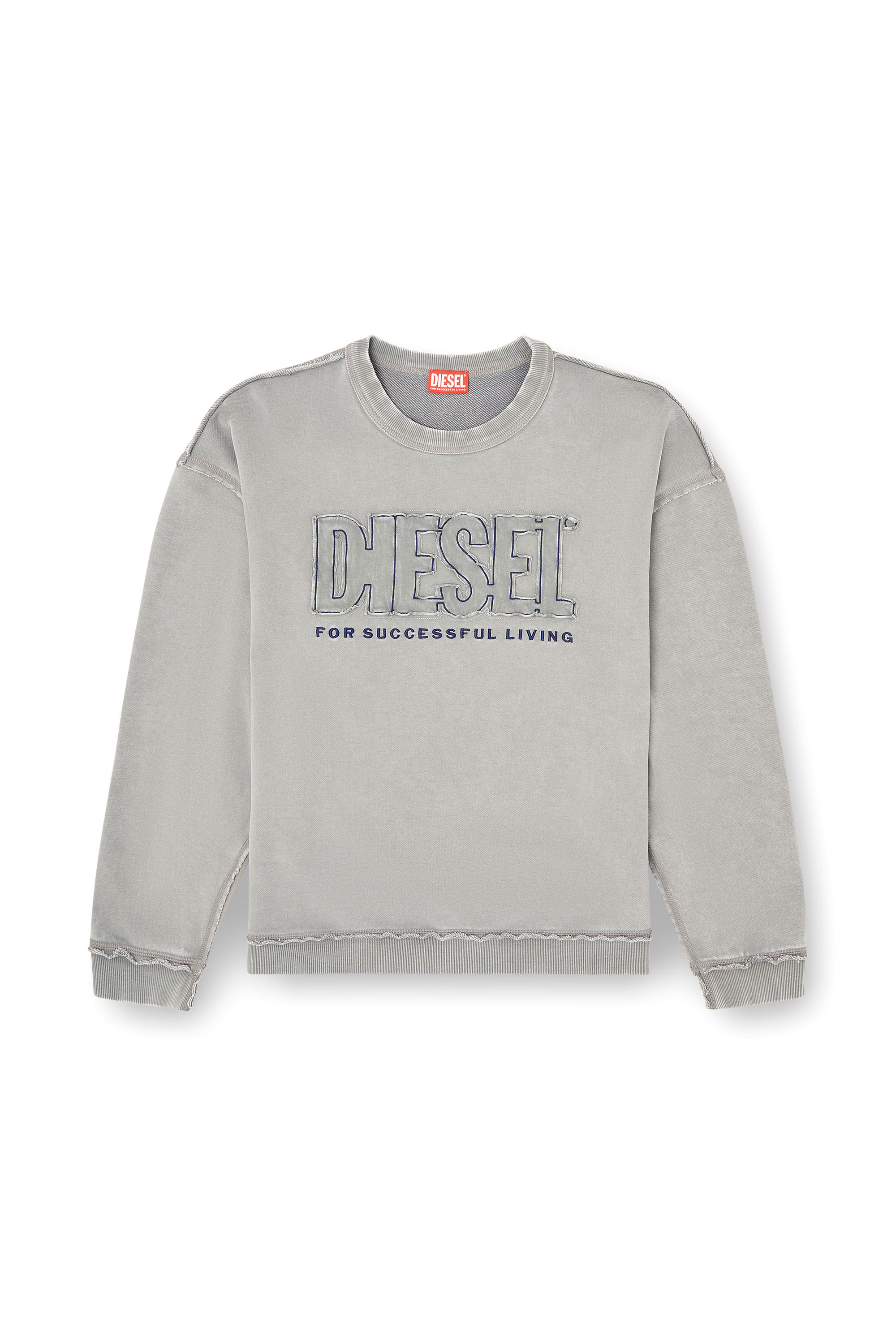 Diesel - S-BOXT-RAW-V1, Sweat-shirt en coton avec logo appliqué Homme in Gris - 3
