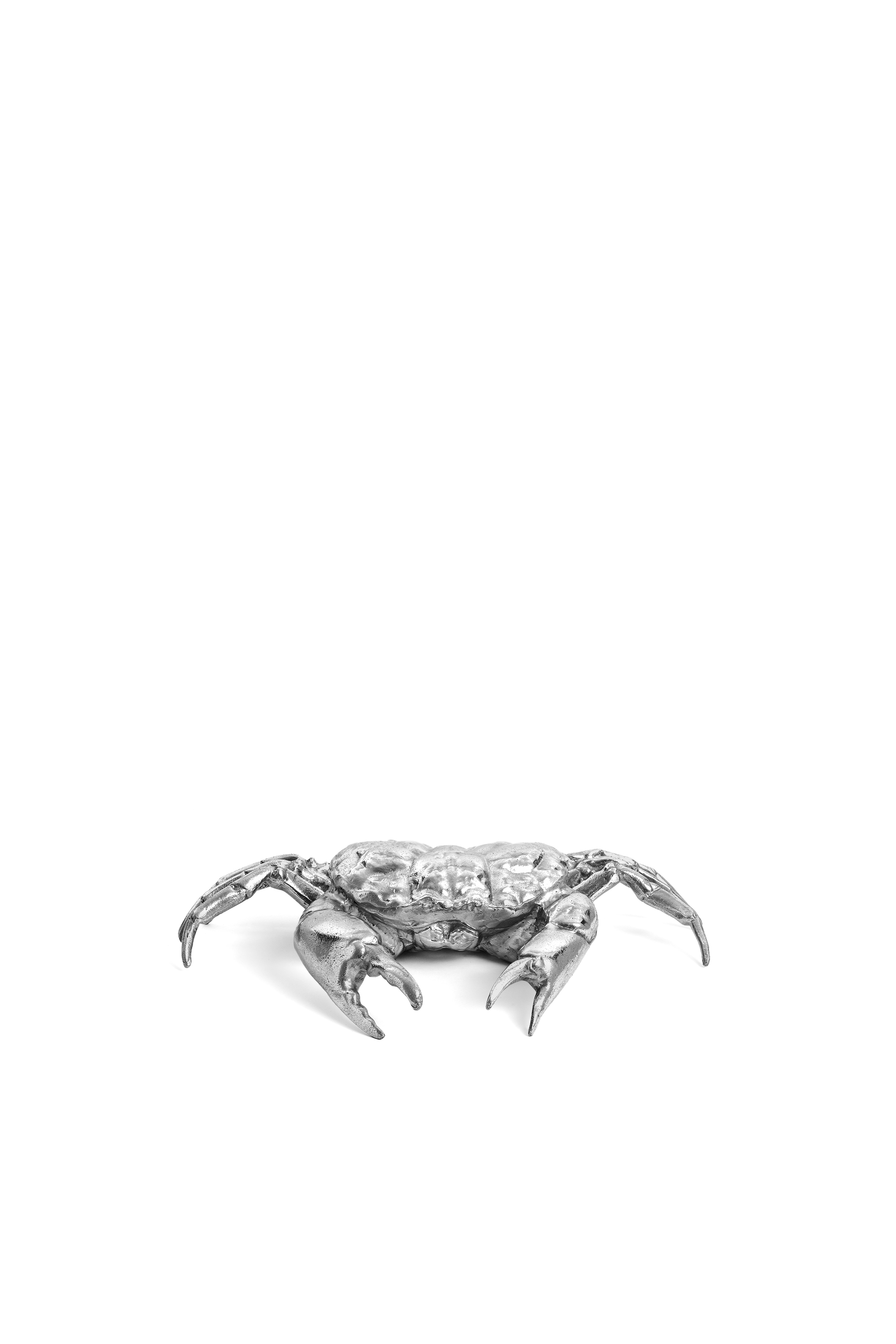 10897 WUNDERKAMMER, Argento - Accessori casa