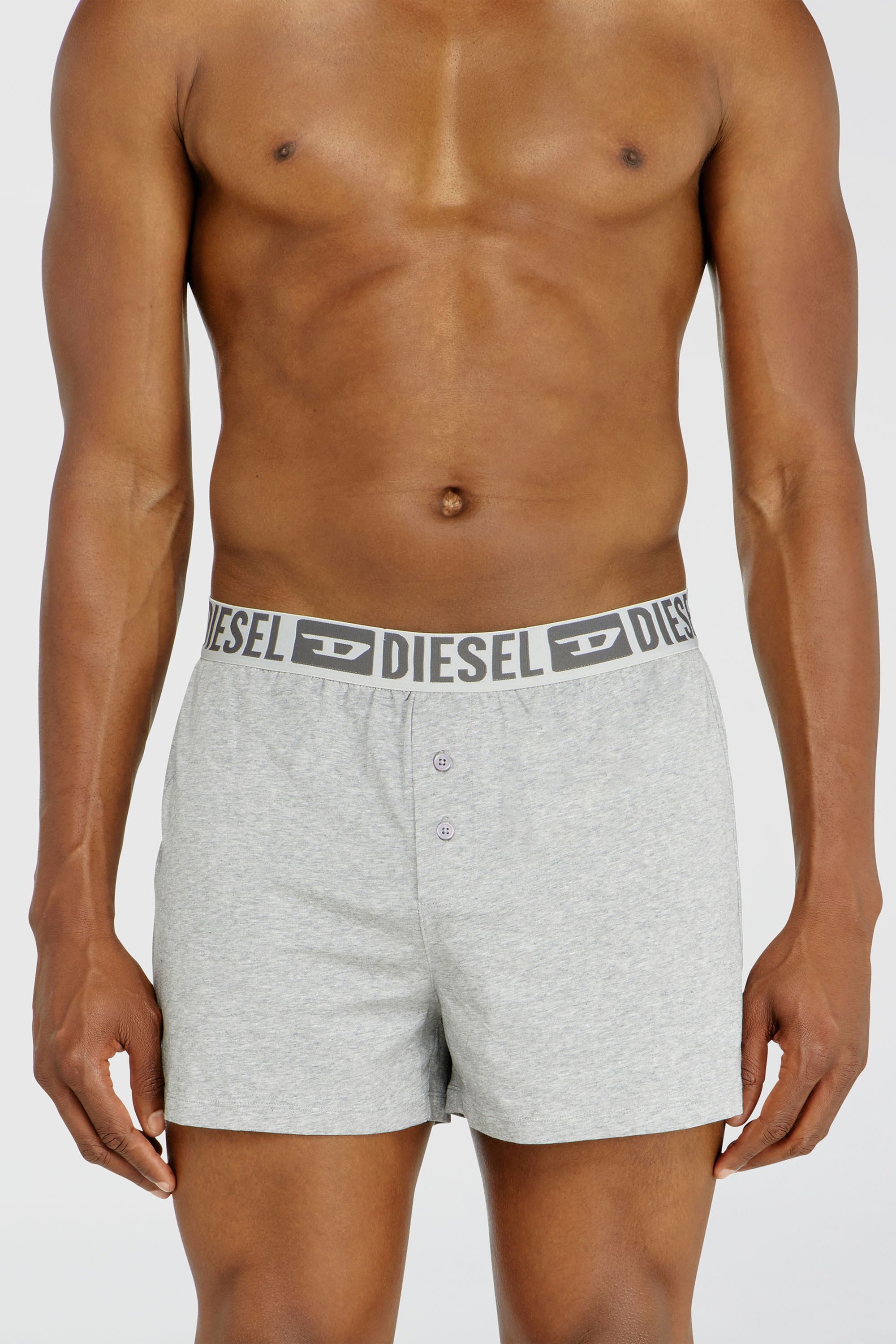 Diesel - STARKIE-D-CORE-2PACK, Set da due boxer lunghi in cotone stretch Uomo in Grigio - 2