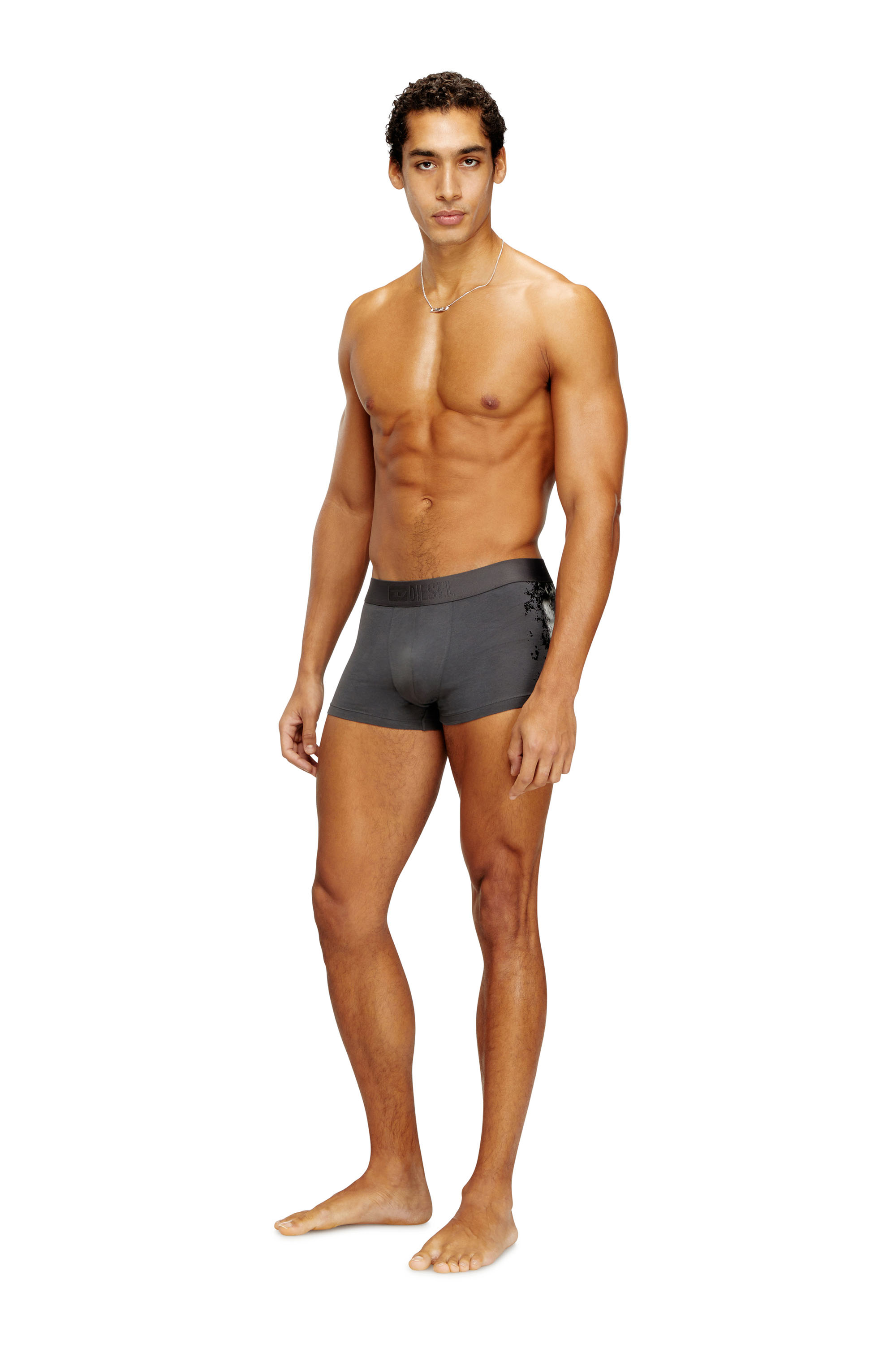 Diesel - DAMIEN-GFT, Boxer in cotone stretch con stampa tono su tono Uomo in Grigio - 1