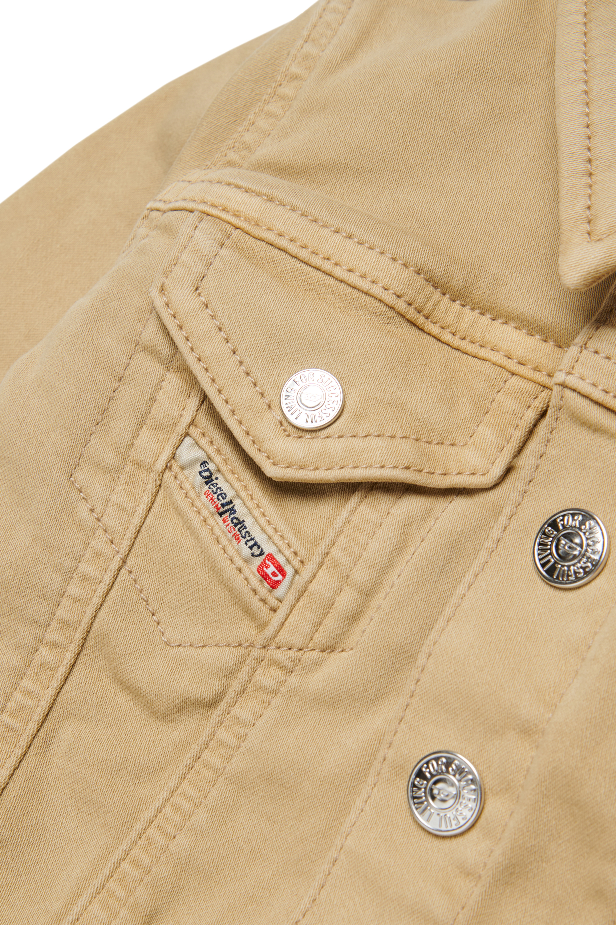 JAROMYB JJJ, Marrone Chiaro