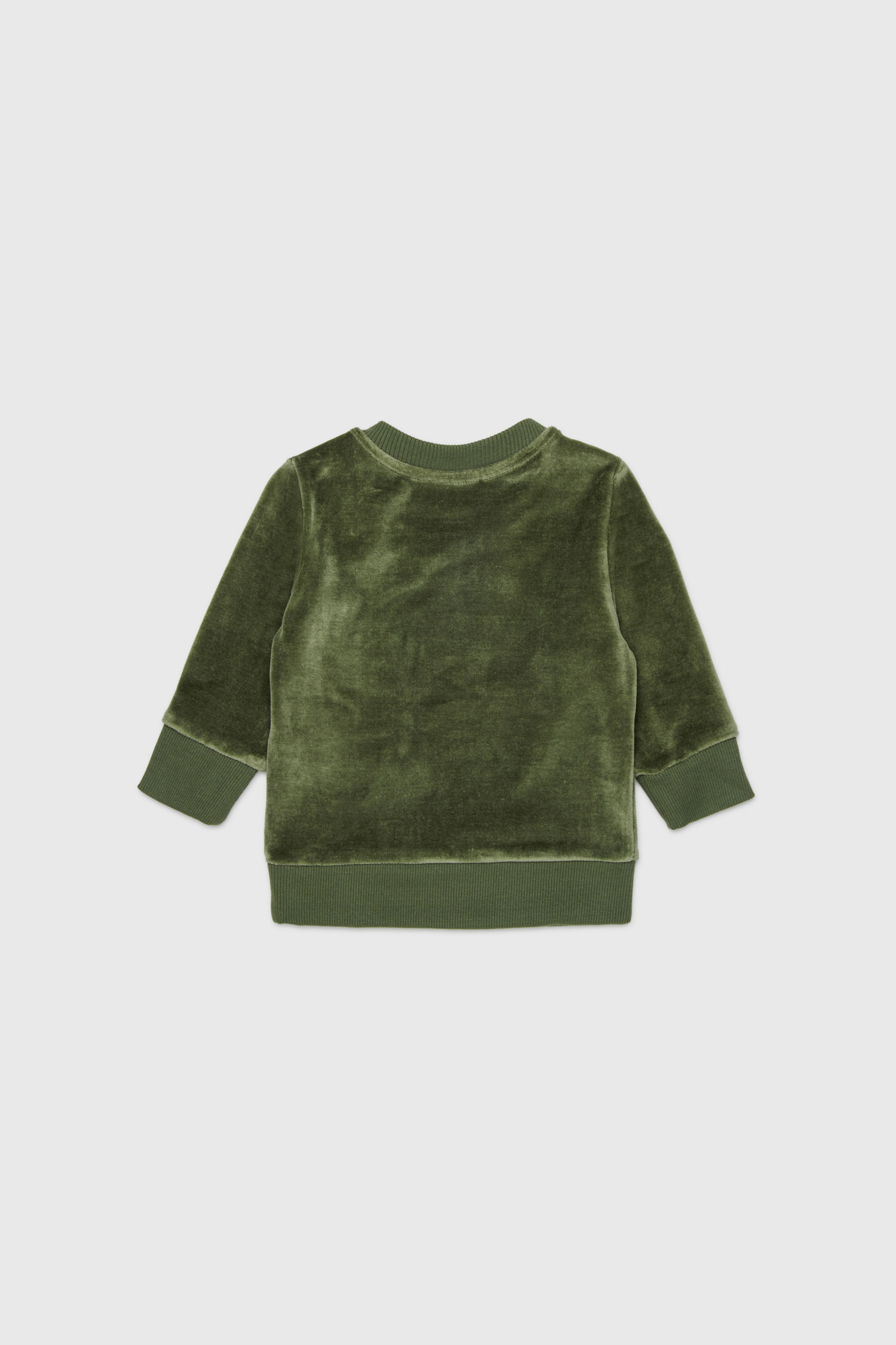 Diesel - SHENIB, Sweat-shirt en velours avec broderie Oval D Homme in Vert - 2