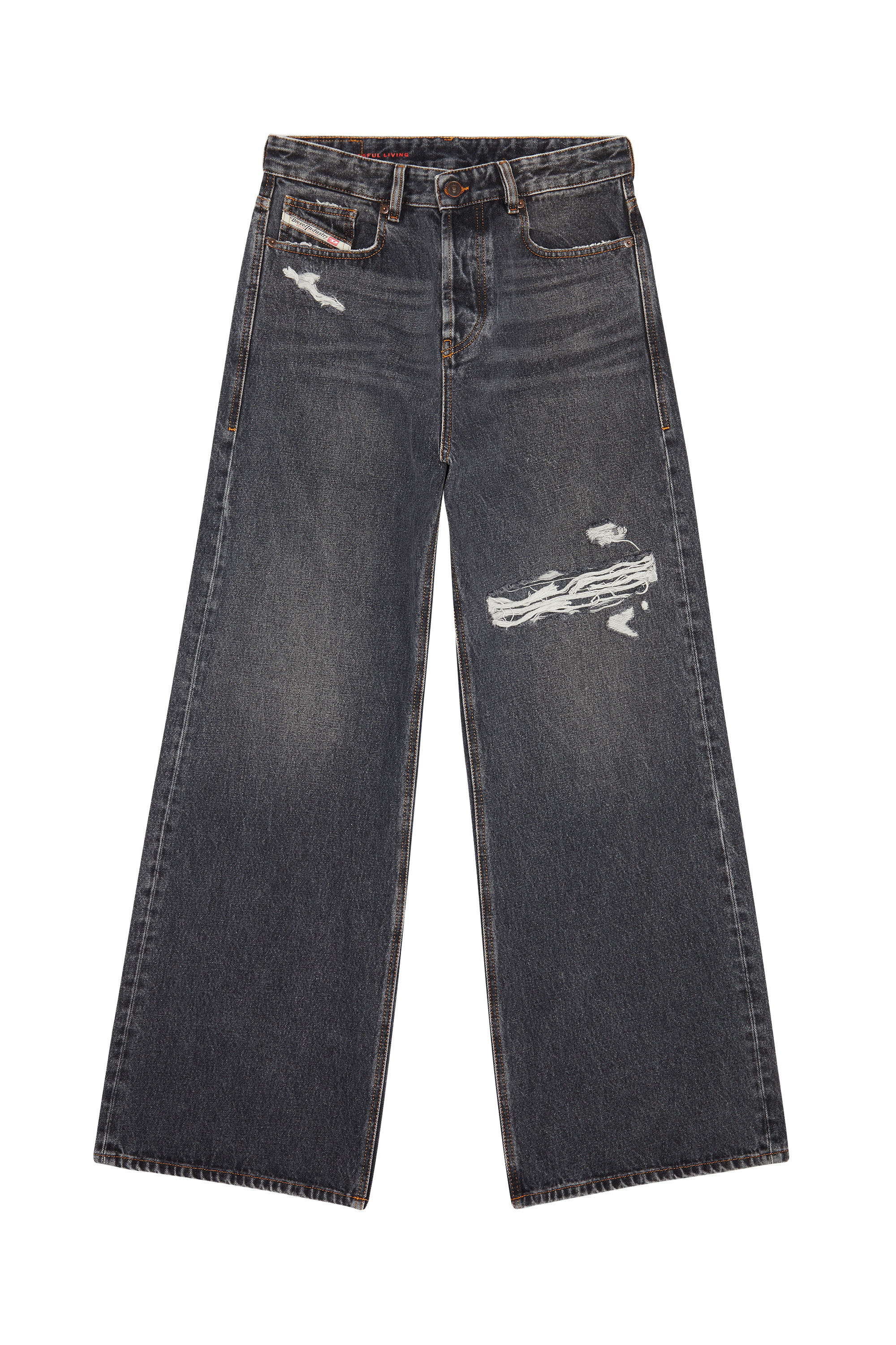 Diesel - Straight Jeans 1996 D-Sire 007F6, Noir/Gris foncé - Image 3