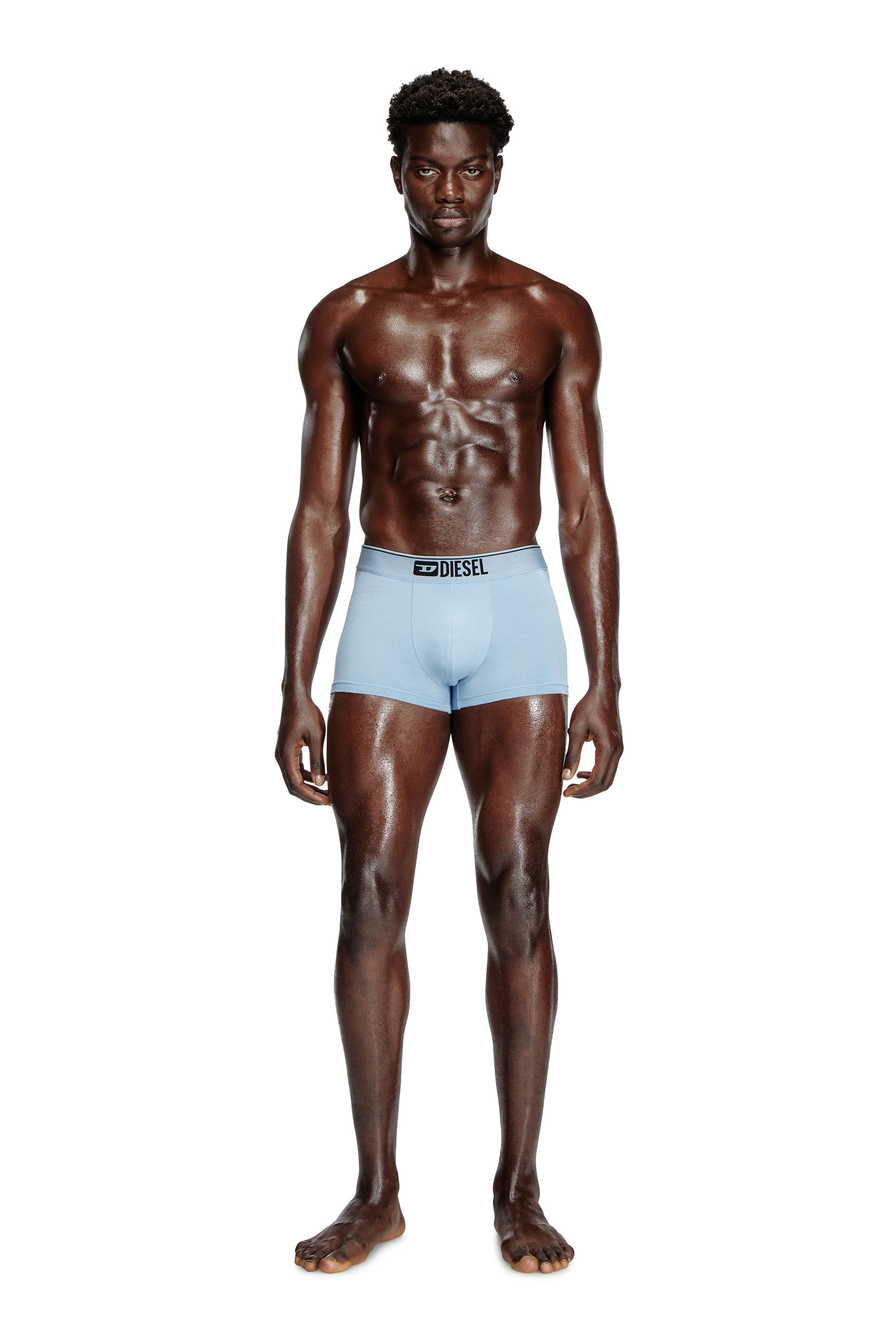 Diesel - DAMIEN-THREEPACK, Herren Retropants mit floralem Motiv im Dreierpack in Blau/Weiss - 3