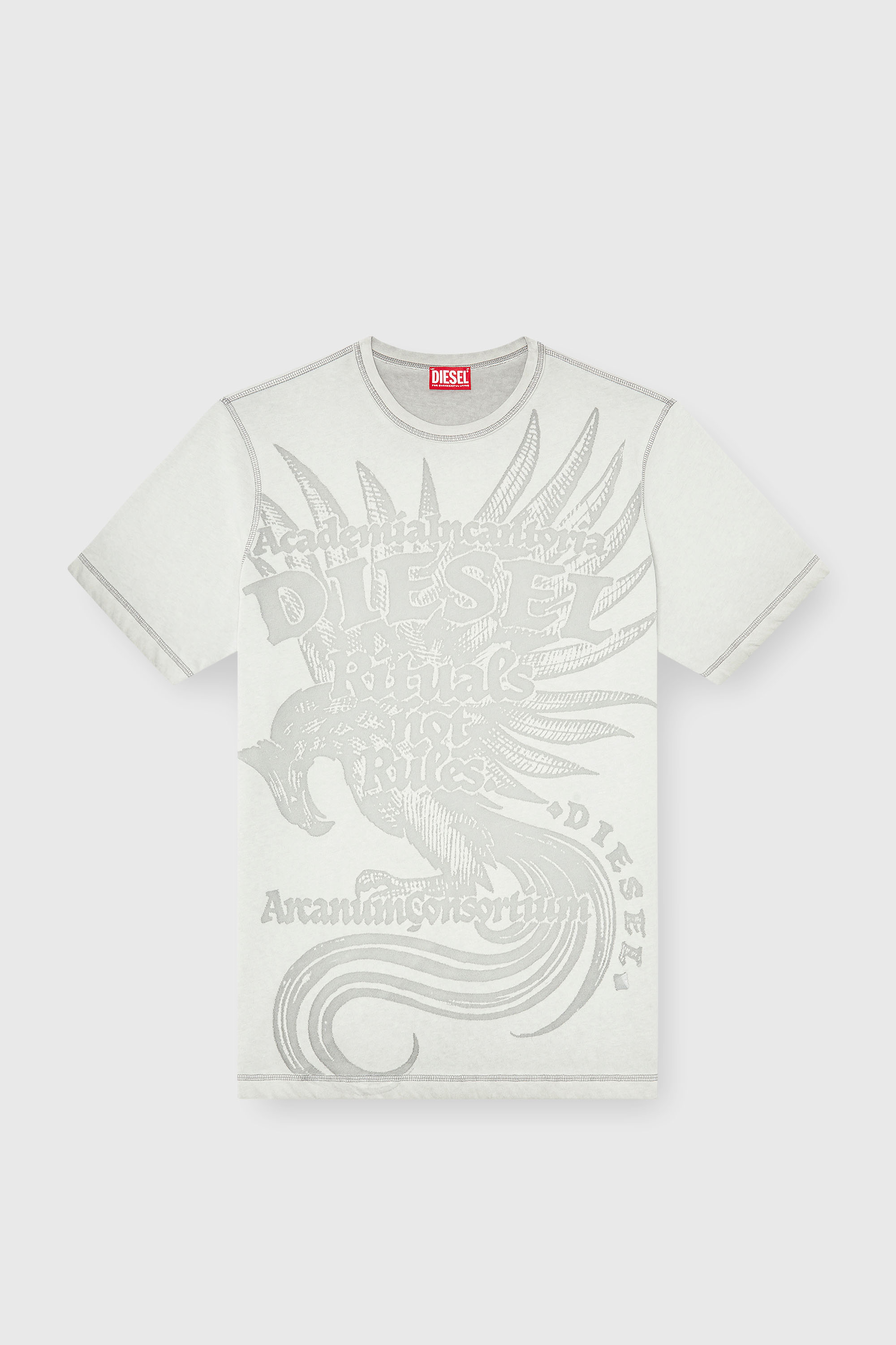 Diesel - T-RAWJUST-AA1, T-shirt in jersey con grafica in rilievo Uomo in Grigio - 2