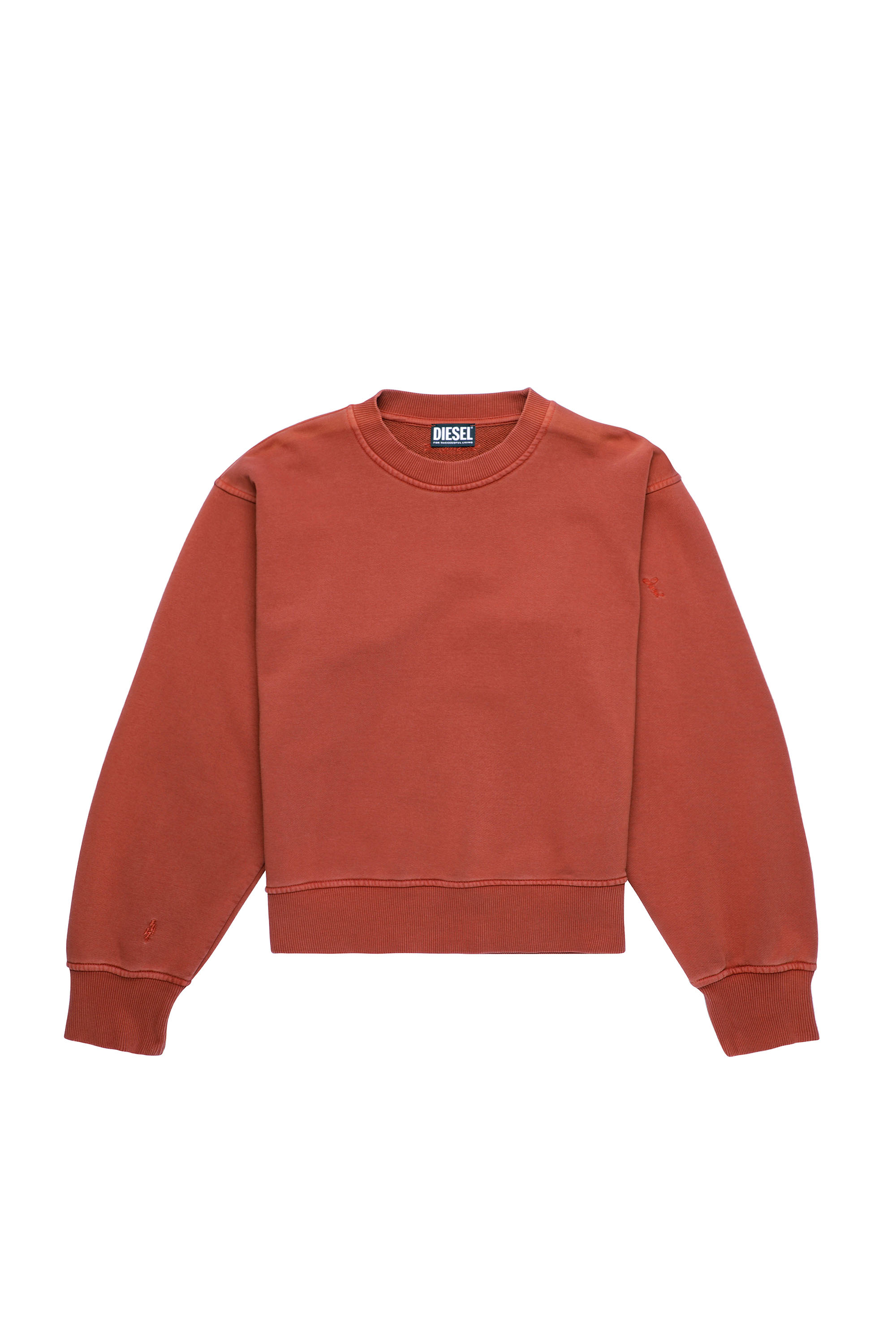 F-LYM-B1, Marron - Pull Cotton