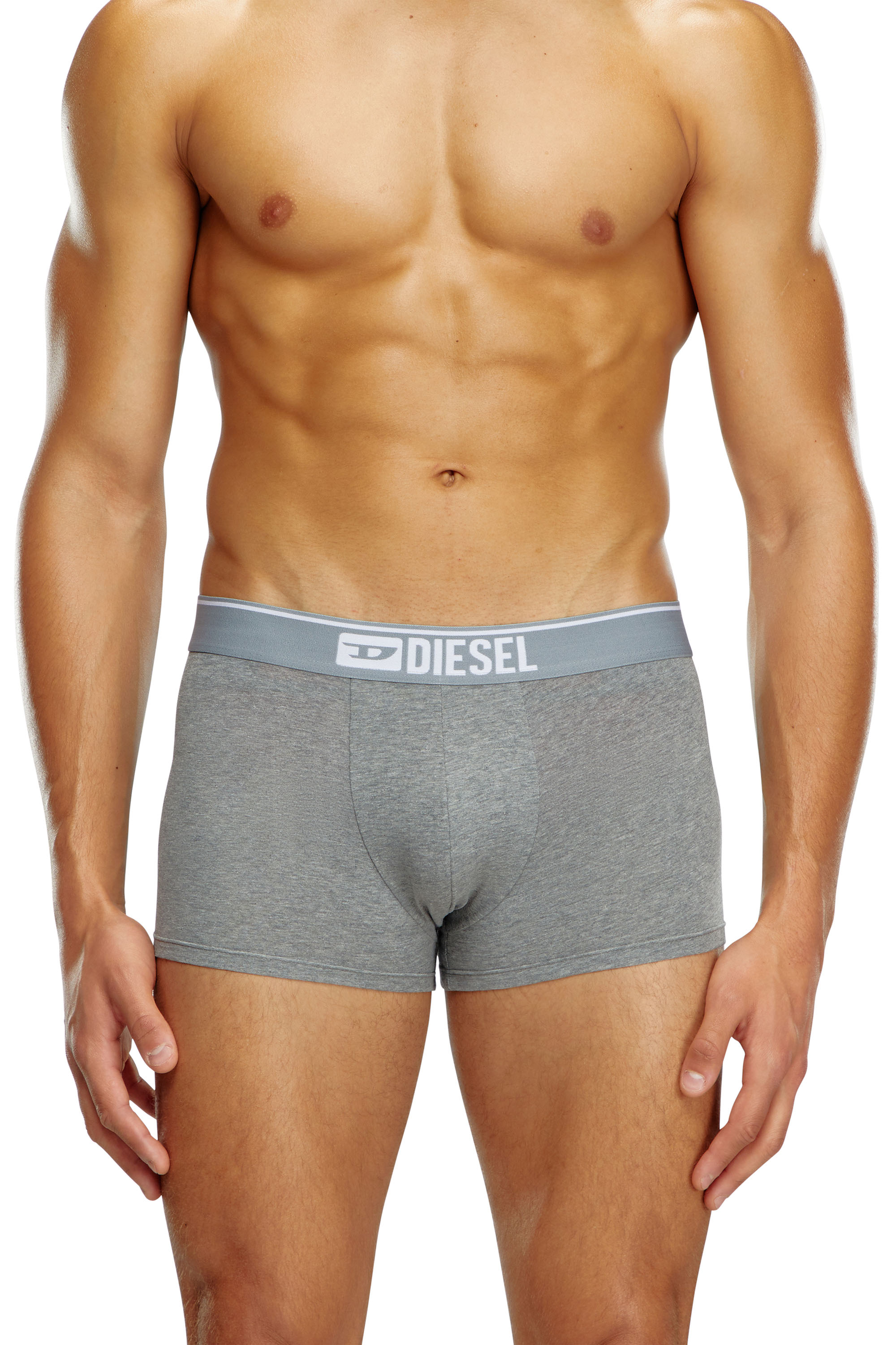 Diesel - UMBX-DAMIENTHREEPACK, Herren Einfarbige Retropants im Dreierpack in Weiss/Grau - 3