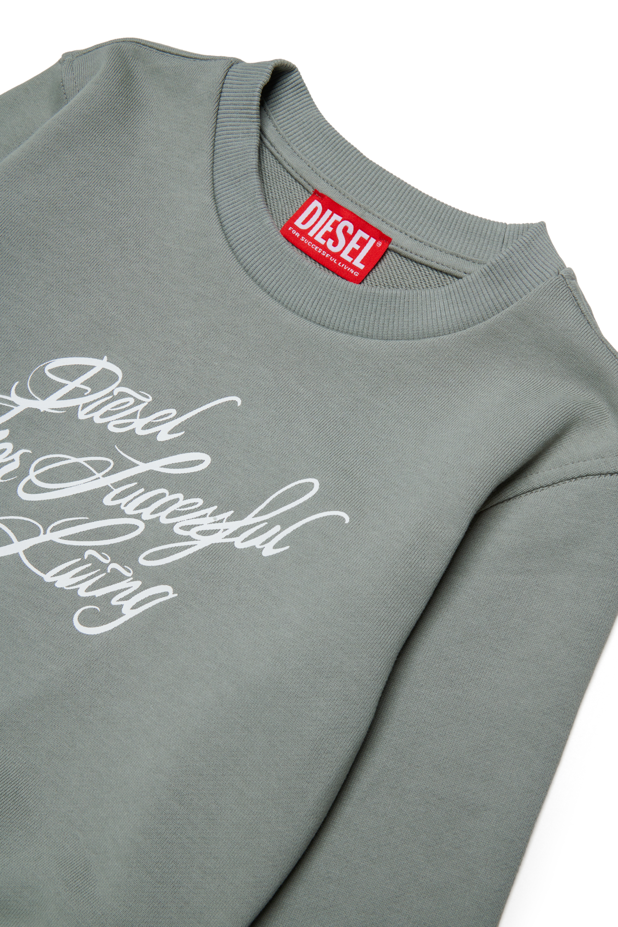 Diesel - SCRIPT, Damen Kurzes Sweatshirt mit Script-Print in Grau - 3