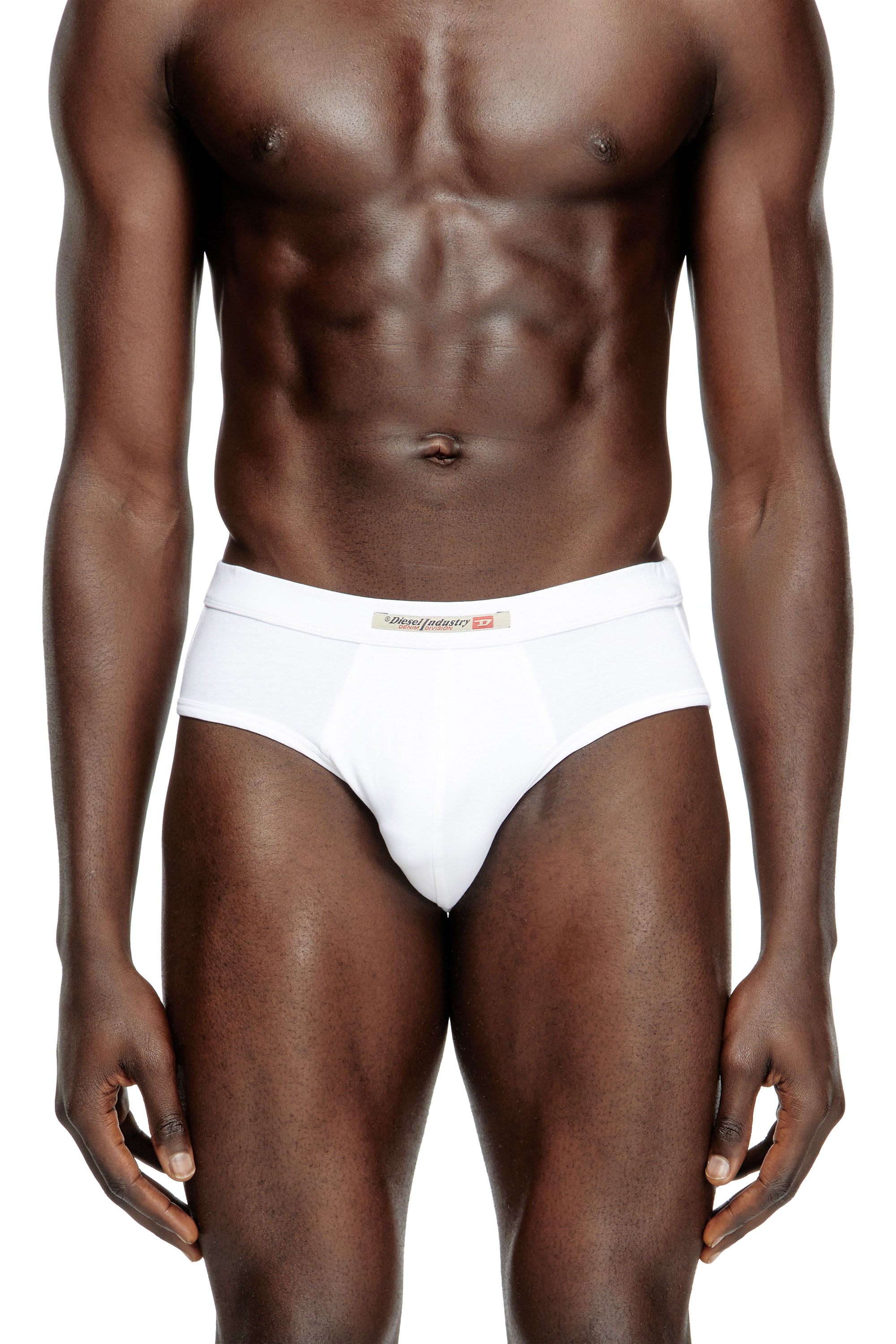 Diesel - ANDY-DNM-2PACK, Herren Briefs mit Diesel Industry-Flagge im Zweierpack in Weiss/Schwarz - 3