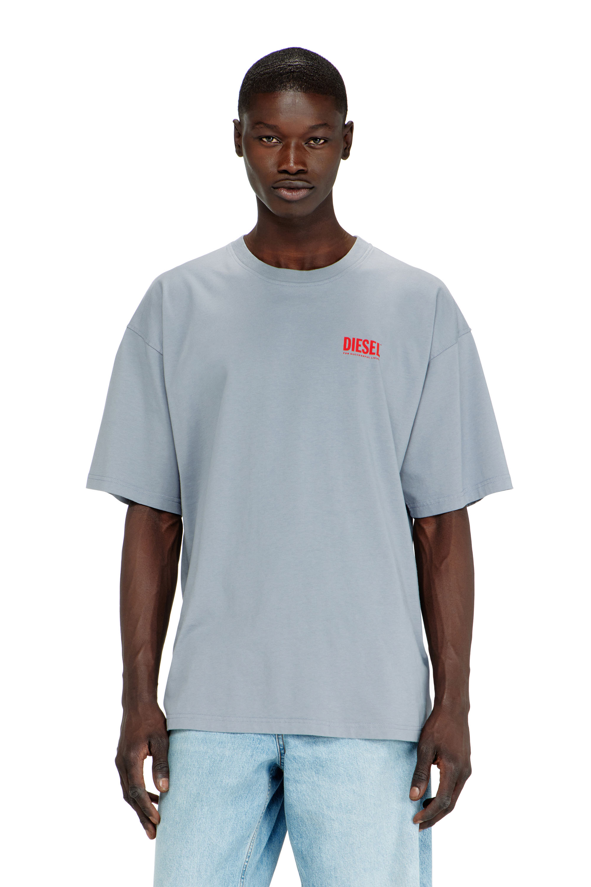 Diesel - T-BOXT-BISK, T-shirt en coton avec imprim&eacute; Diesel Biscotto Homme in Gris - 1