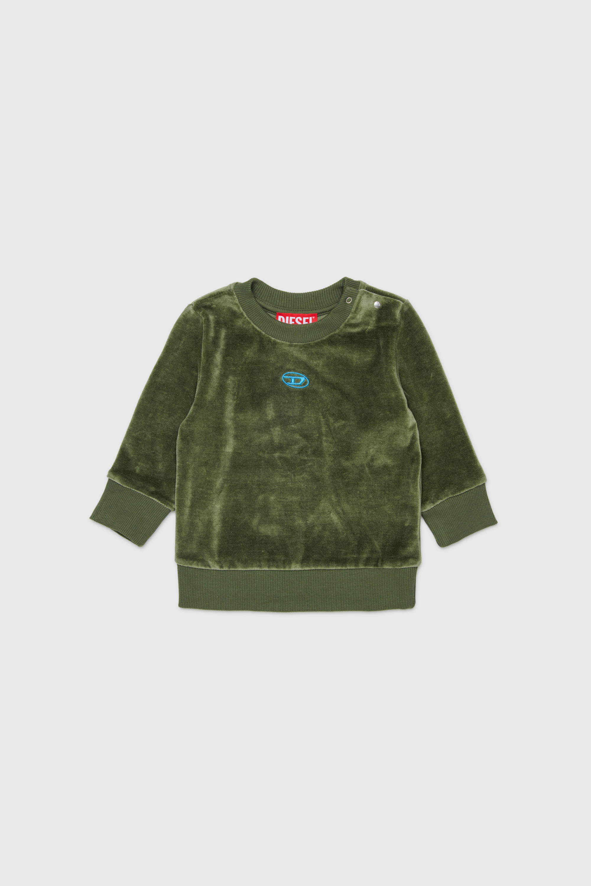 Diesel - SHENIB, Sweat-shirt en velours avec broderie Oval D Homme in Vert - 1