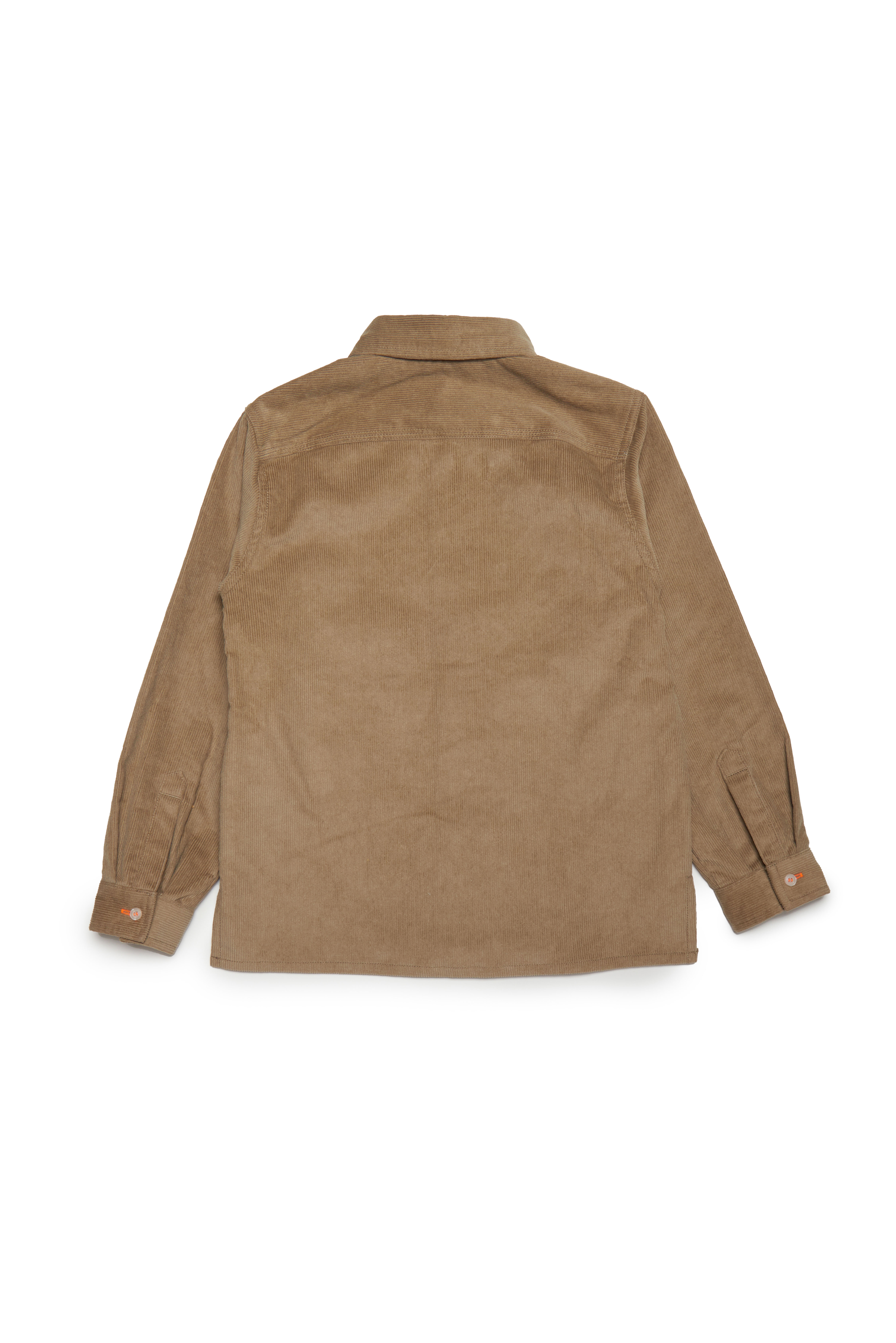 Diesel - CVALLI, Light Brown - Image 2