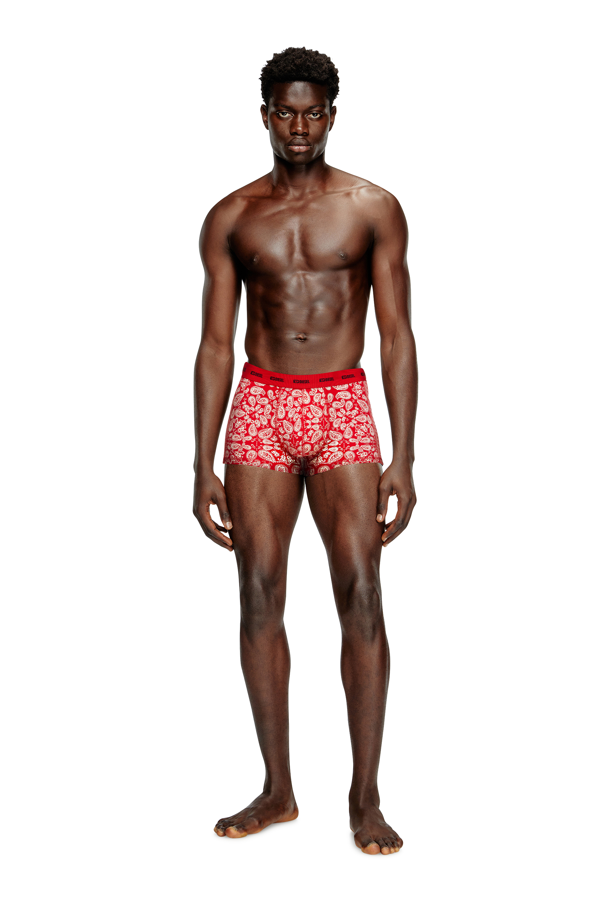 Diesel - DAMIEN-GFT-UTLT-3PACK, Lot de 3 boxers en coton stretch Homme in Polychrome - 2
