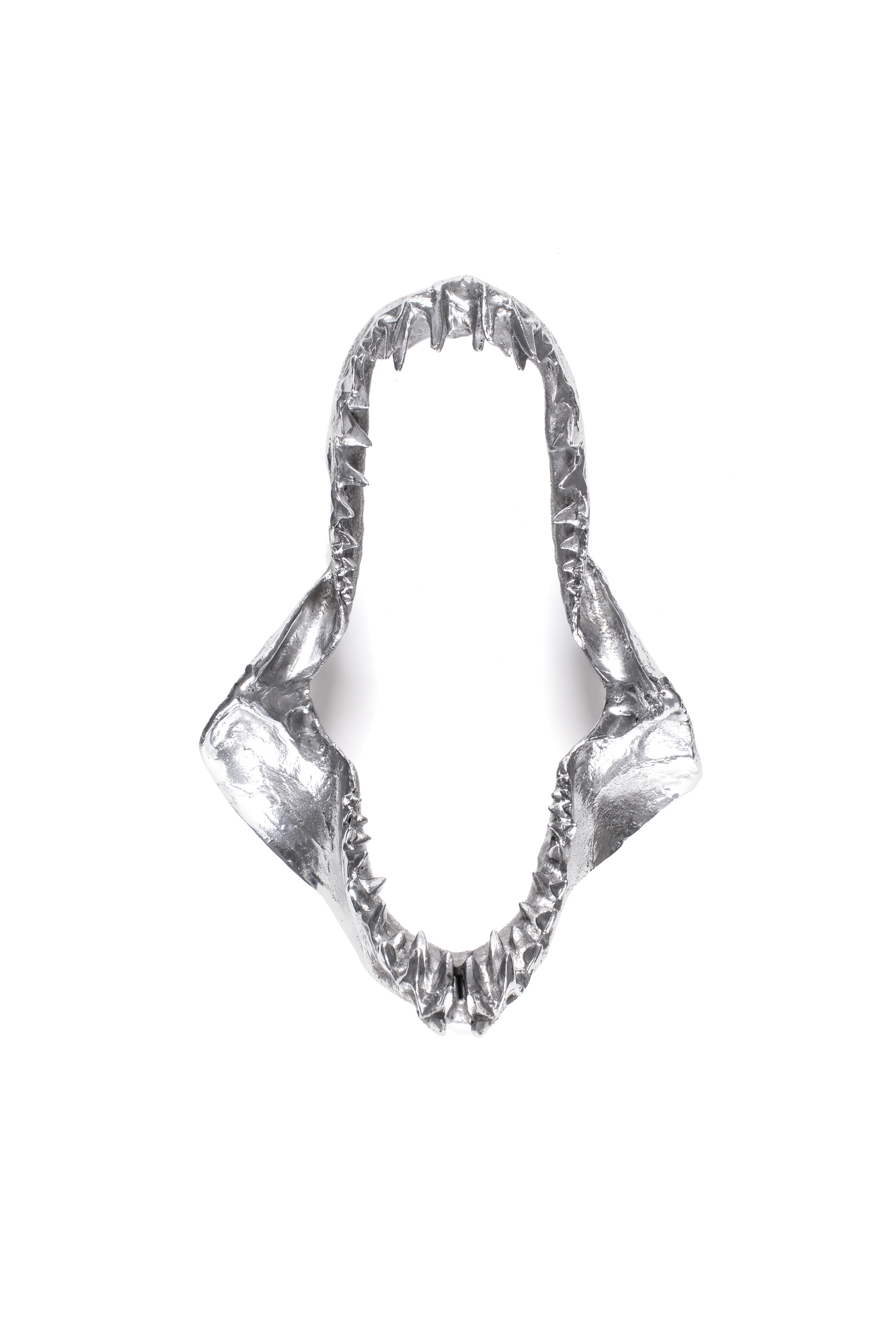 10896 WUNDERKAMMER, Argento - Accessori casa