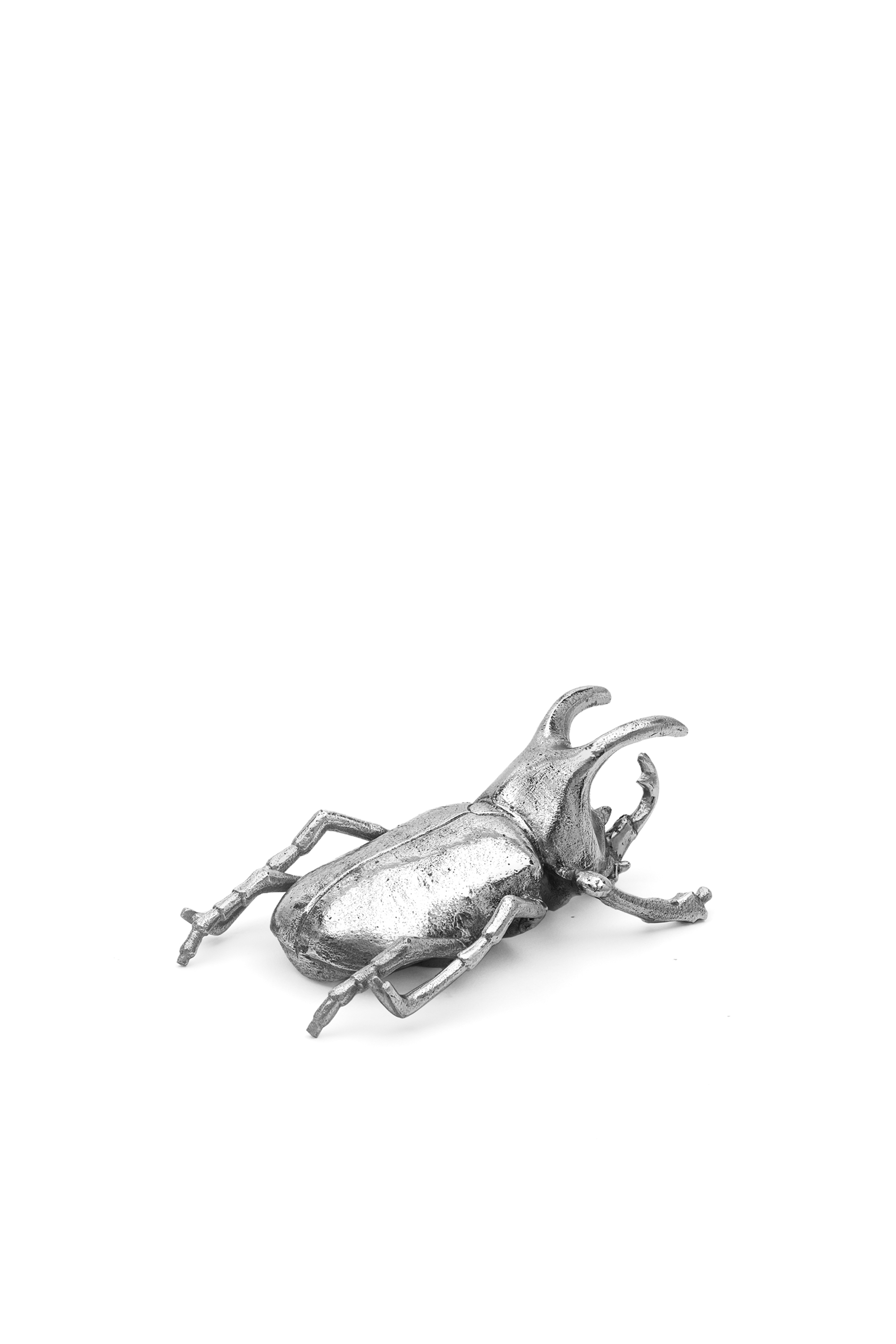 10887 WUNDERKAMMER, Argento - Accessori casa