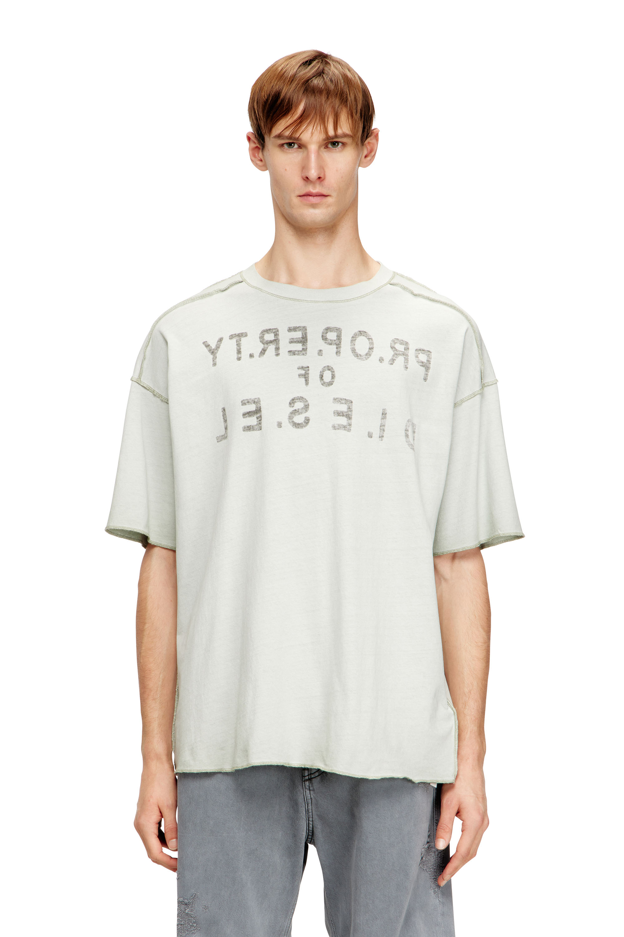 Diesel - T-LOOK, Man's Relaxed cotton T-shirt with front and back print in White/Grey - 1
