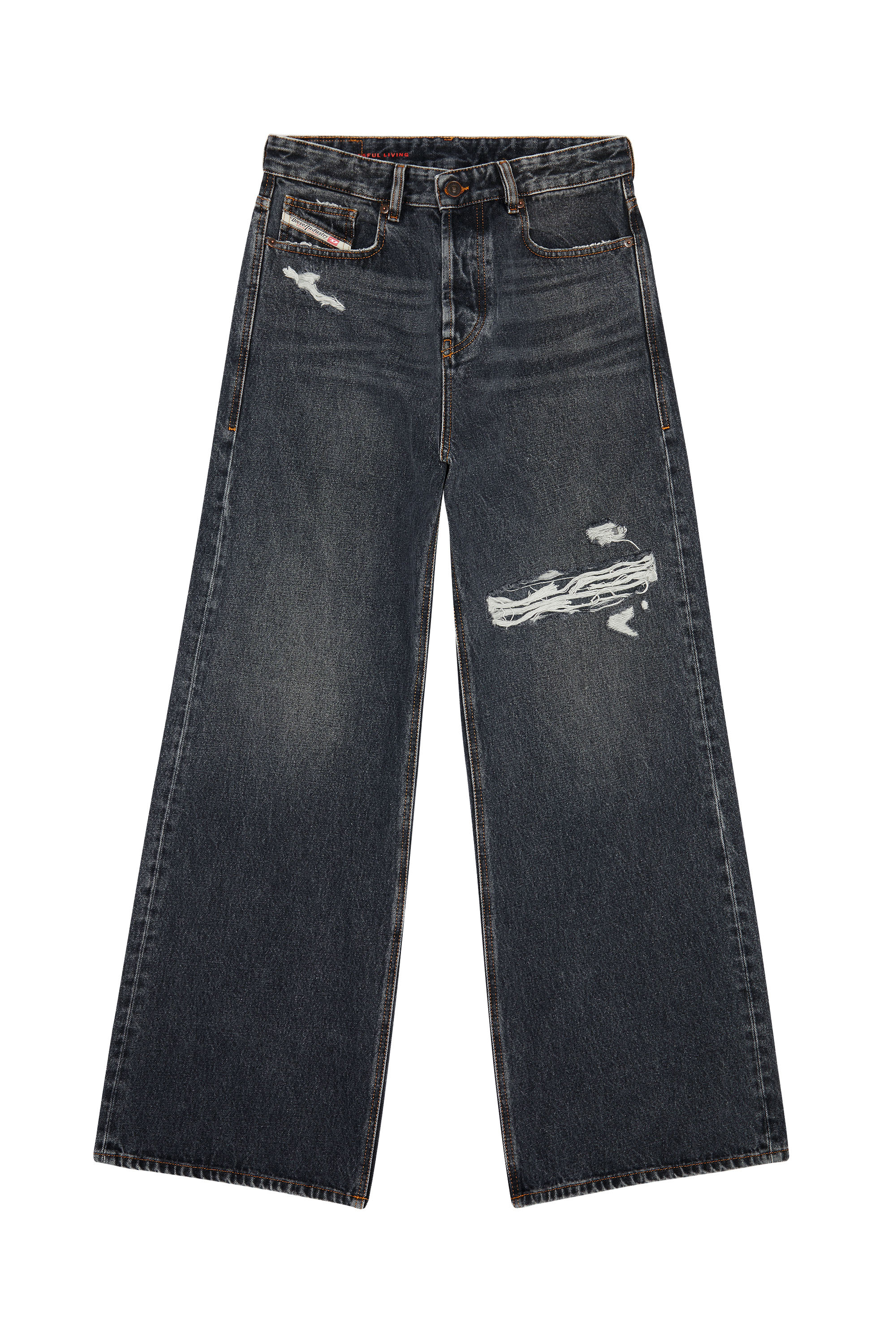 Diesel - Relaxed Jeans 1996 D-Sire 007F6 Mixte, Noir/Gris fonc&eacute; - Image 3