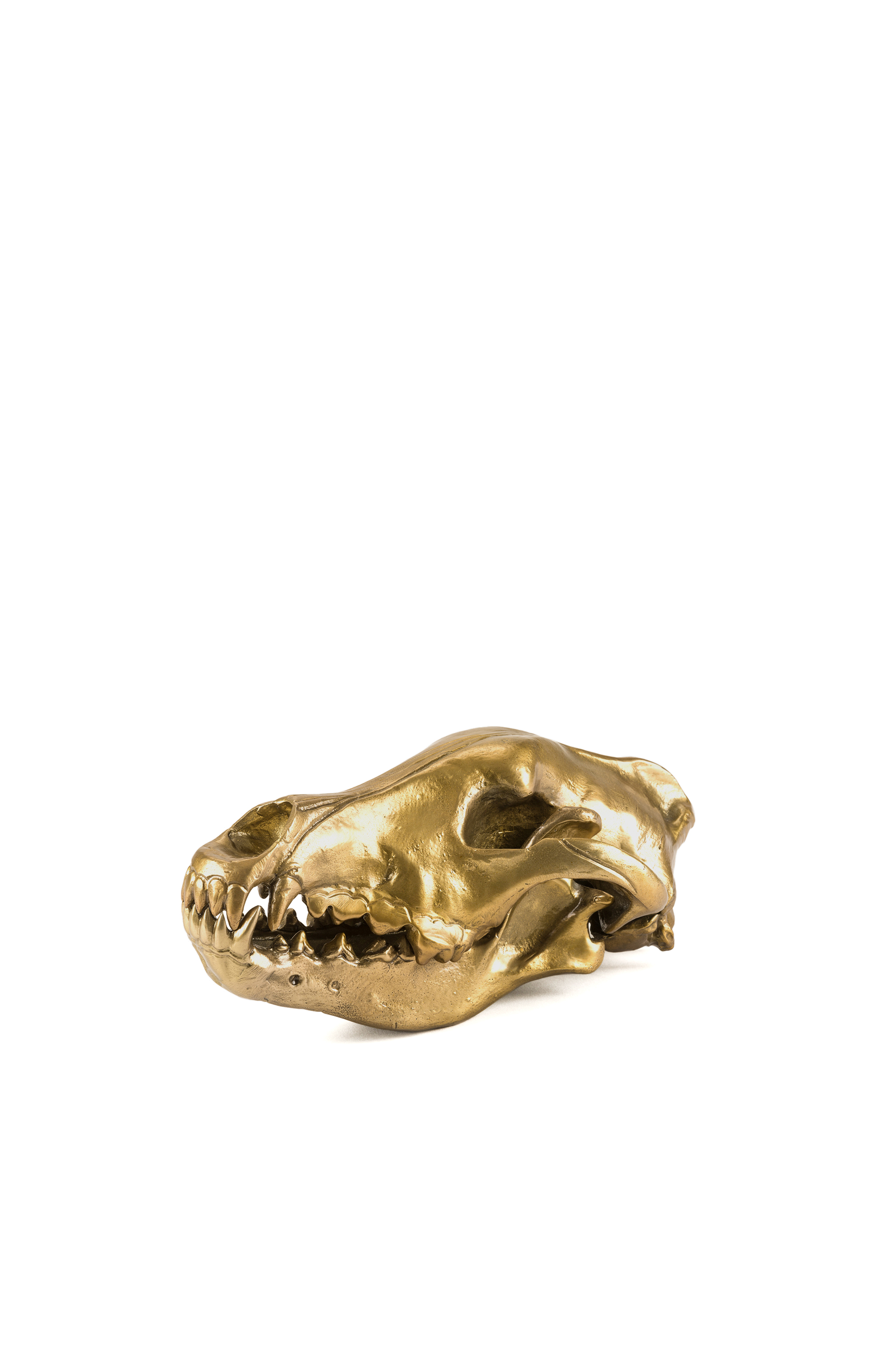 10892 Wunderkammer, Oro - Accessori casa