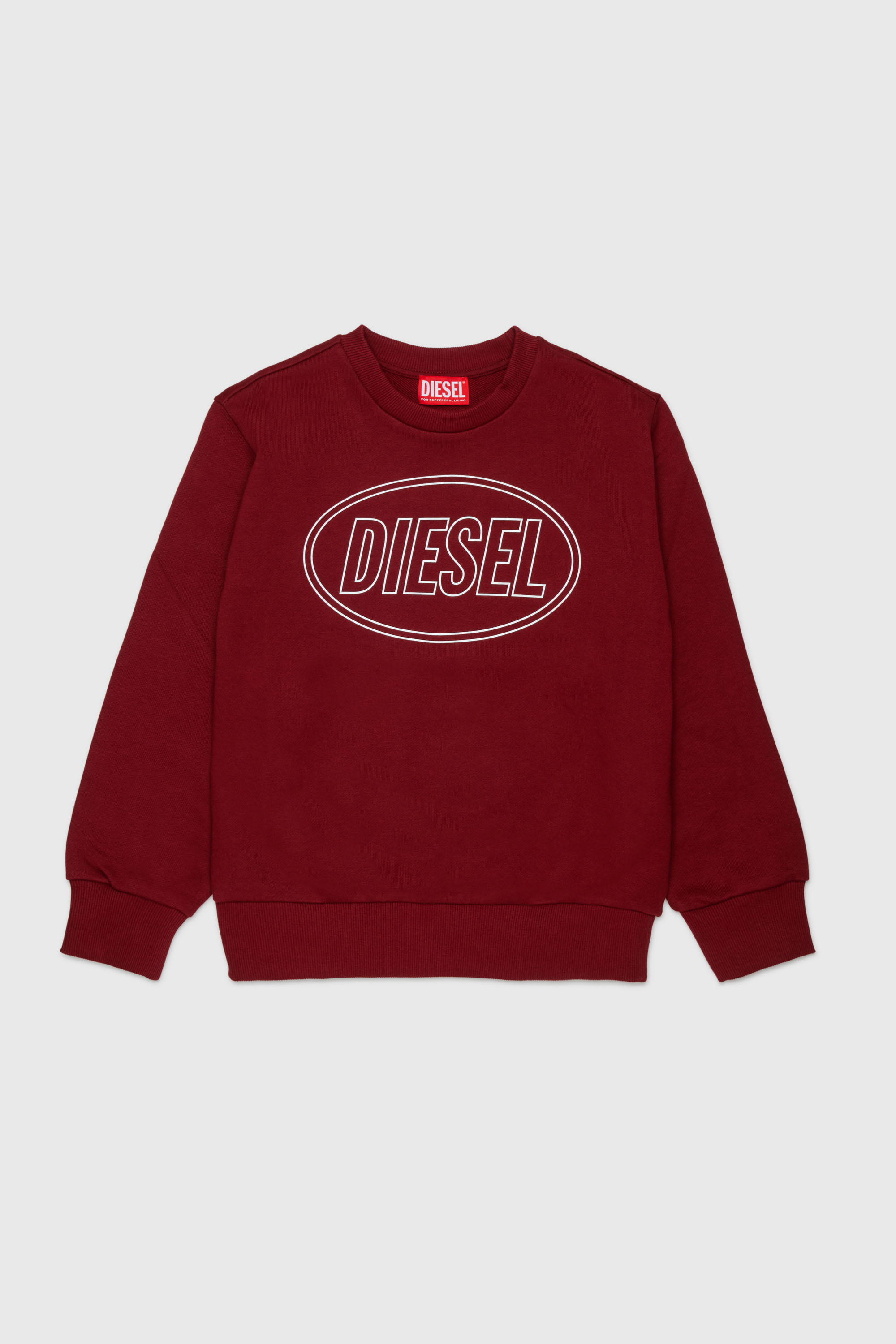 Diesel - SCIRCLE OVER, Felpa con stampa logo Uomo in Rosso - 1