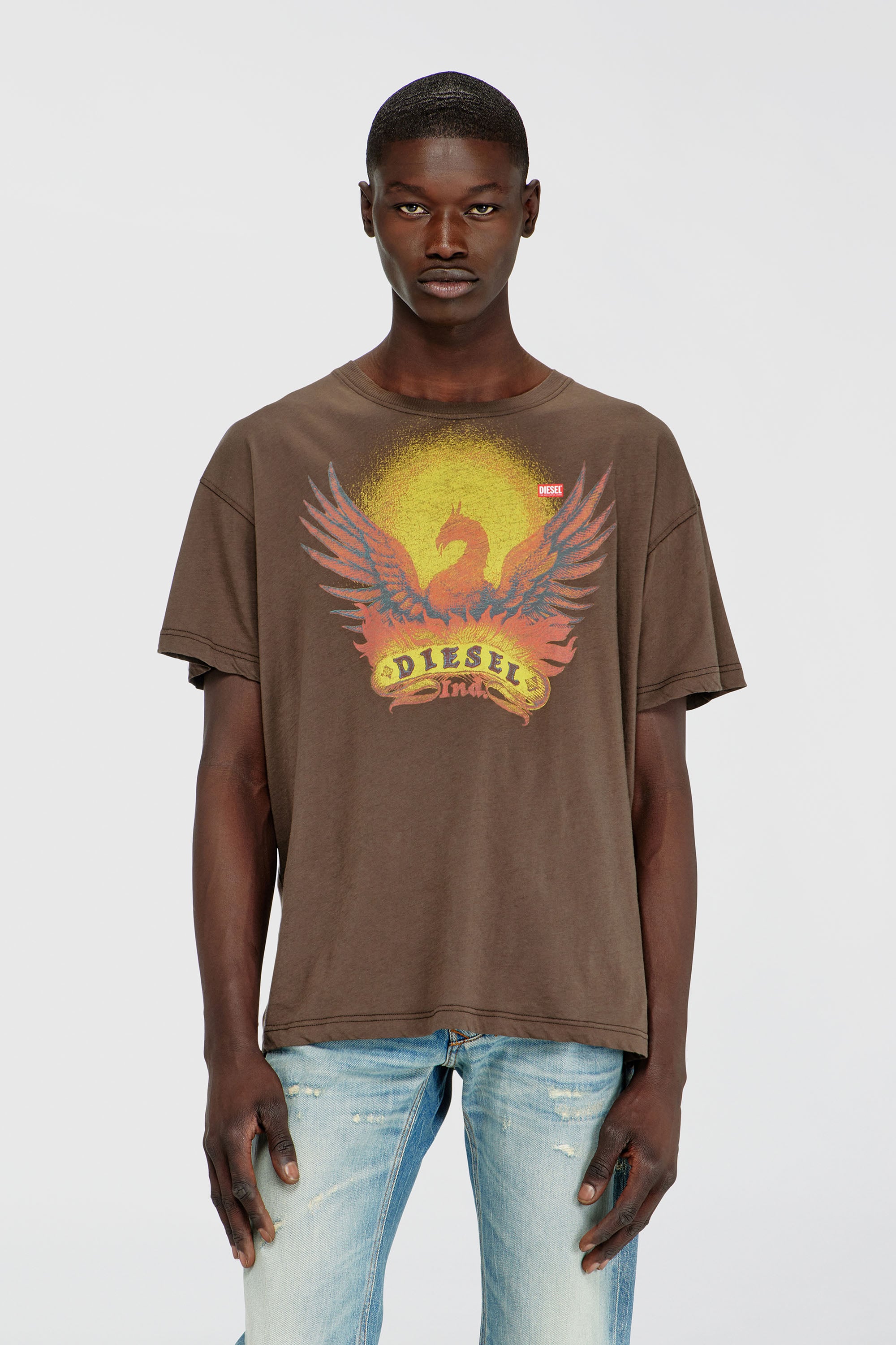 Diesel - T-NORM-AA1, Herren Regul&auml;res T-Shirt mit Ph&ouml;nix-Print in Braun - 1