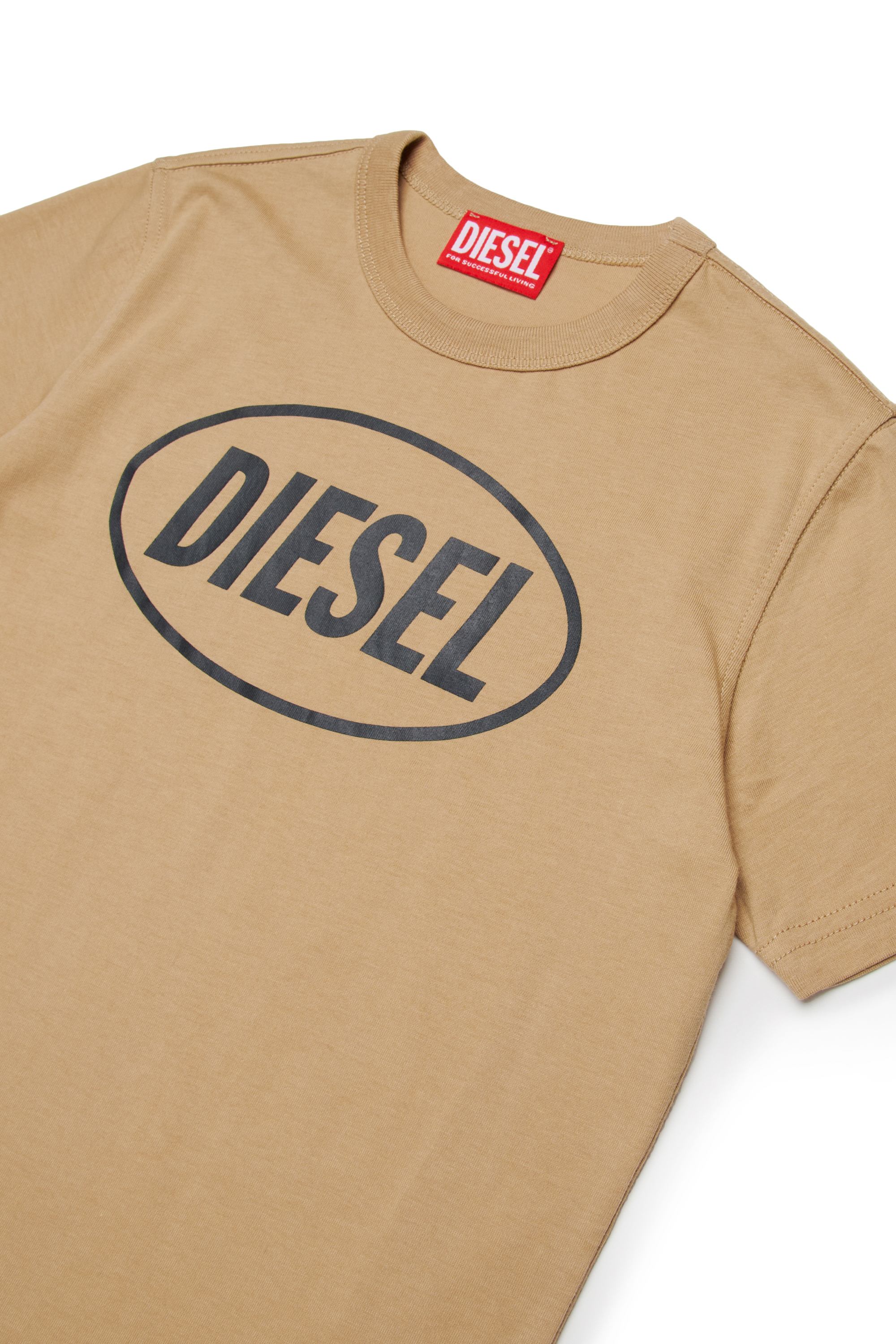 Diesel - TUNDRA, T-shirt in cotone con logo Uomo in Marrone - 3