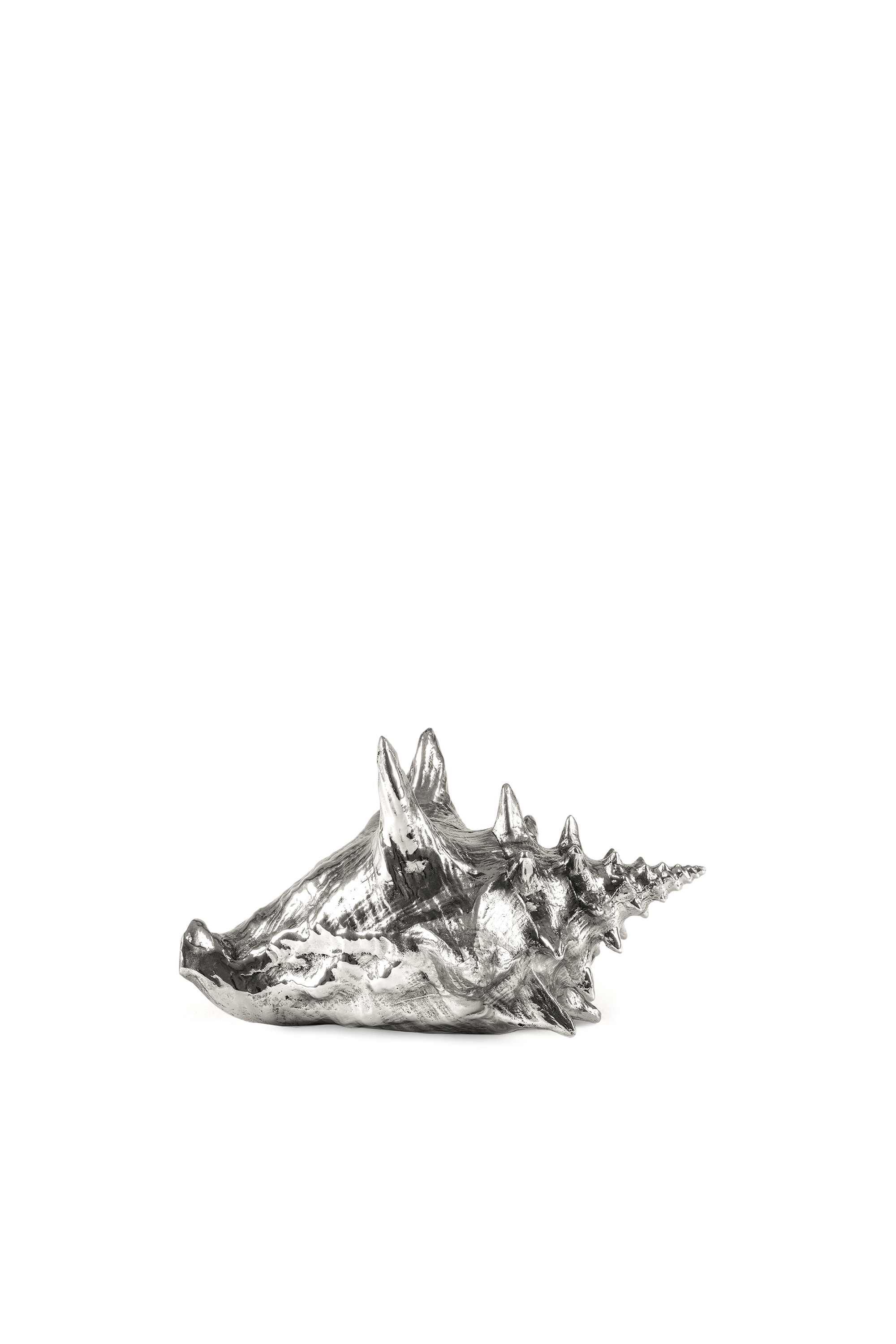 10894 WUNDERKAMMER, Argento - Accessori casa