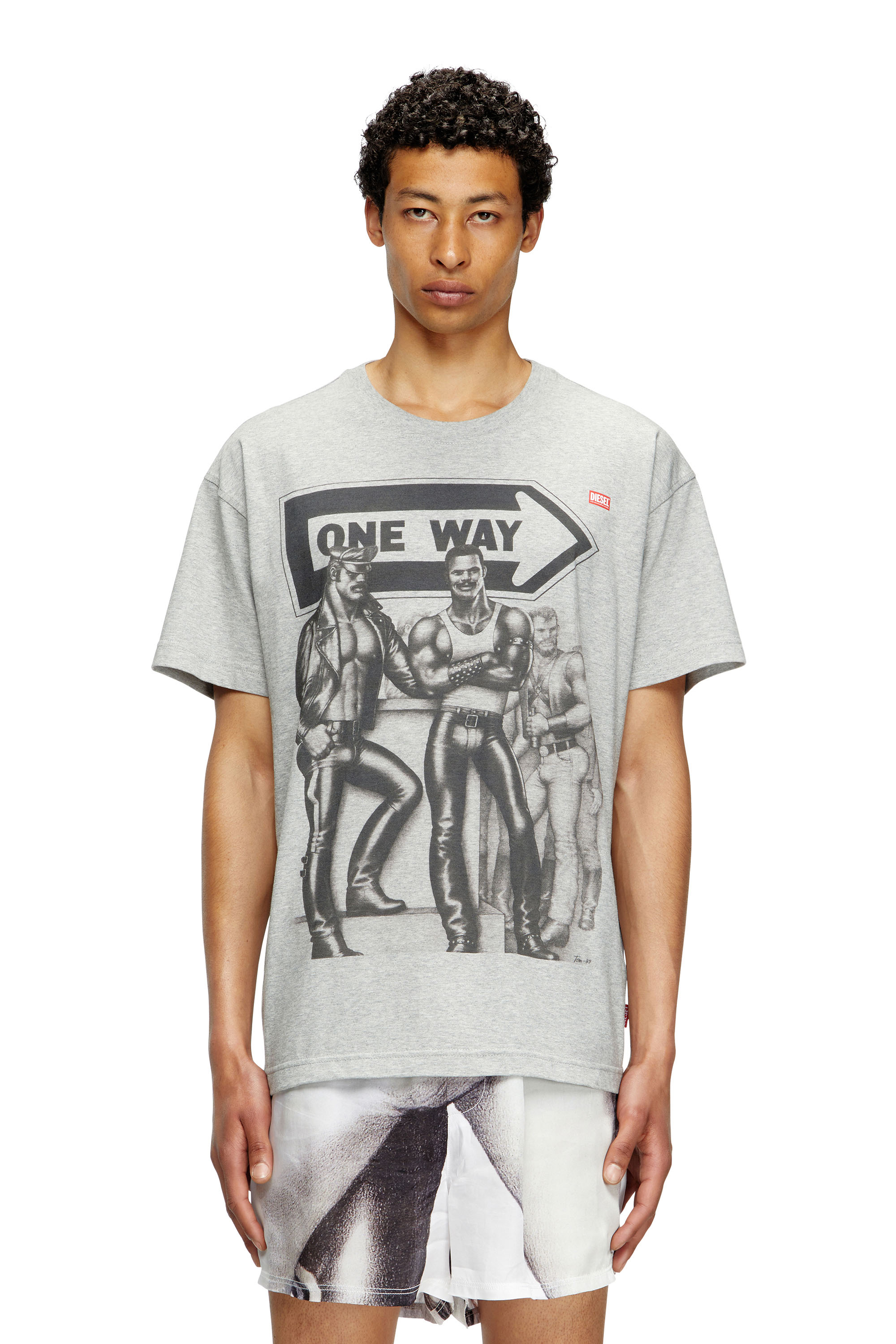 Diesel - PR-T-NORM-TOM25, T-shirt con stampa grafica Unisex in Grigio - 3