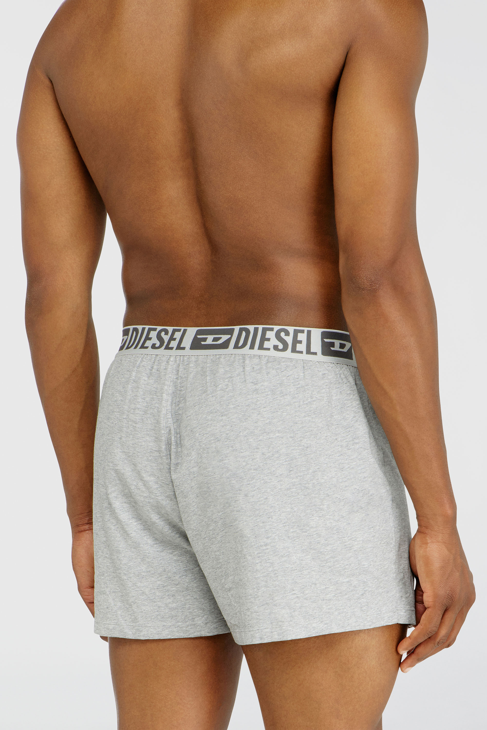 Diesel - STARKIE-D-CORE-2PACK, Herren Boxershorts aus stretch-baumwolle im Zweierpack in Grau - 4
