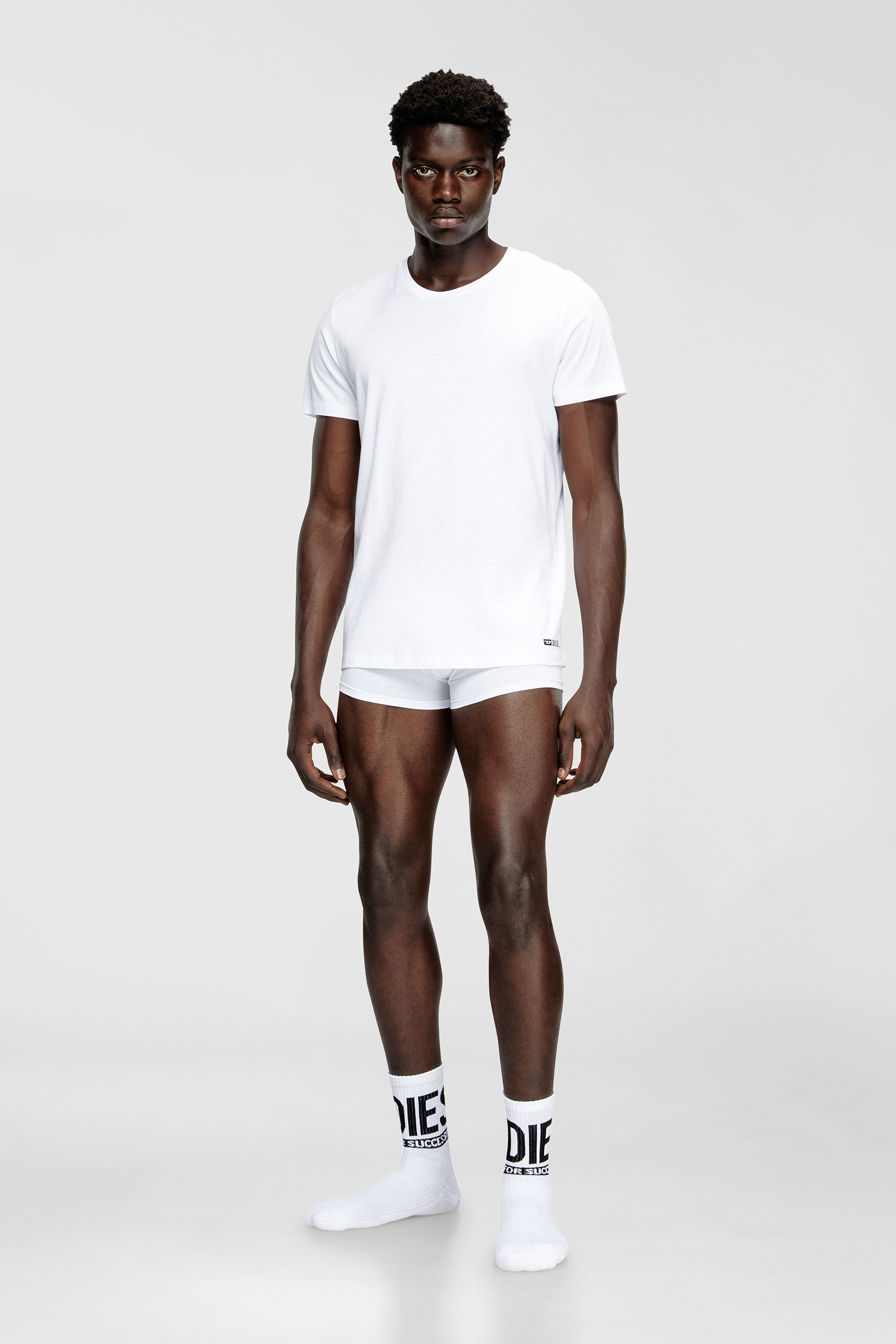 Diesel - RANDAL-D-BOX-3PACK, Set da tre T-shirt Uomo in Bianco - 1