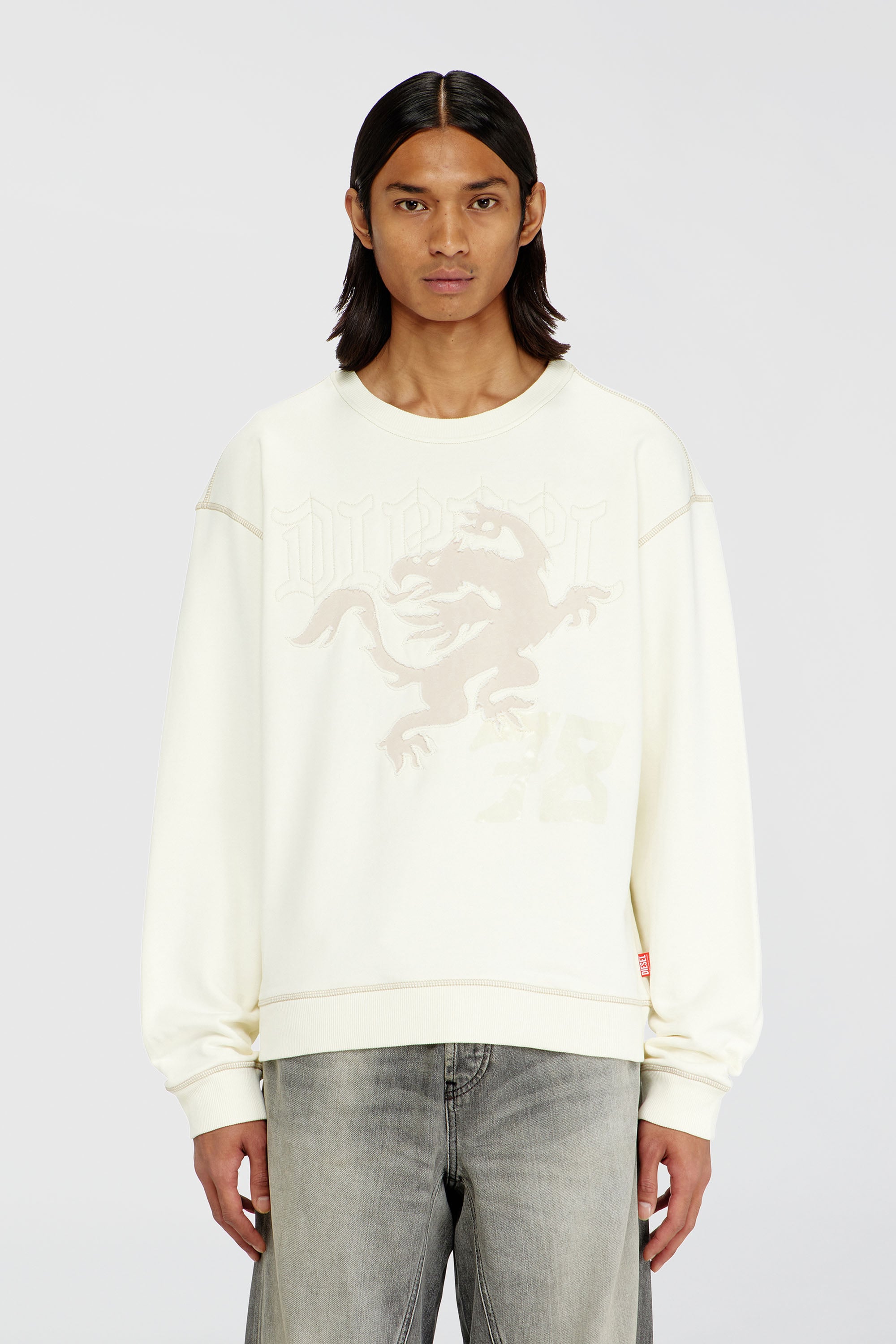 Diesel - S-NORM-AA3, Man's Sweatshirt with embroidery and print in White - 1