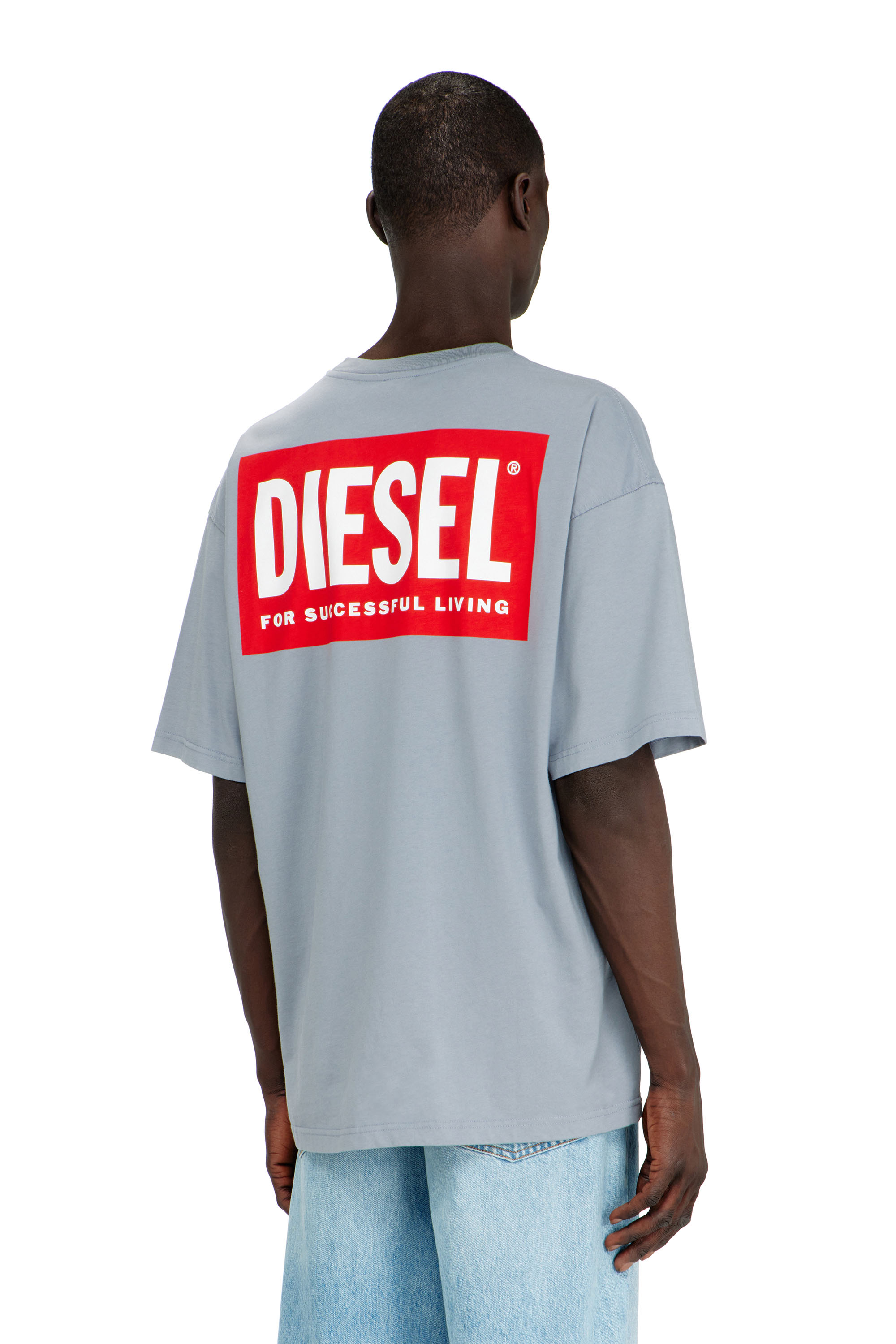 Diesel - T-BOXT-BISK, T-shirt en coton avec imprim&eacute; Diesel Biscotto Homme in Gris - 4
