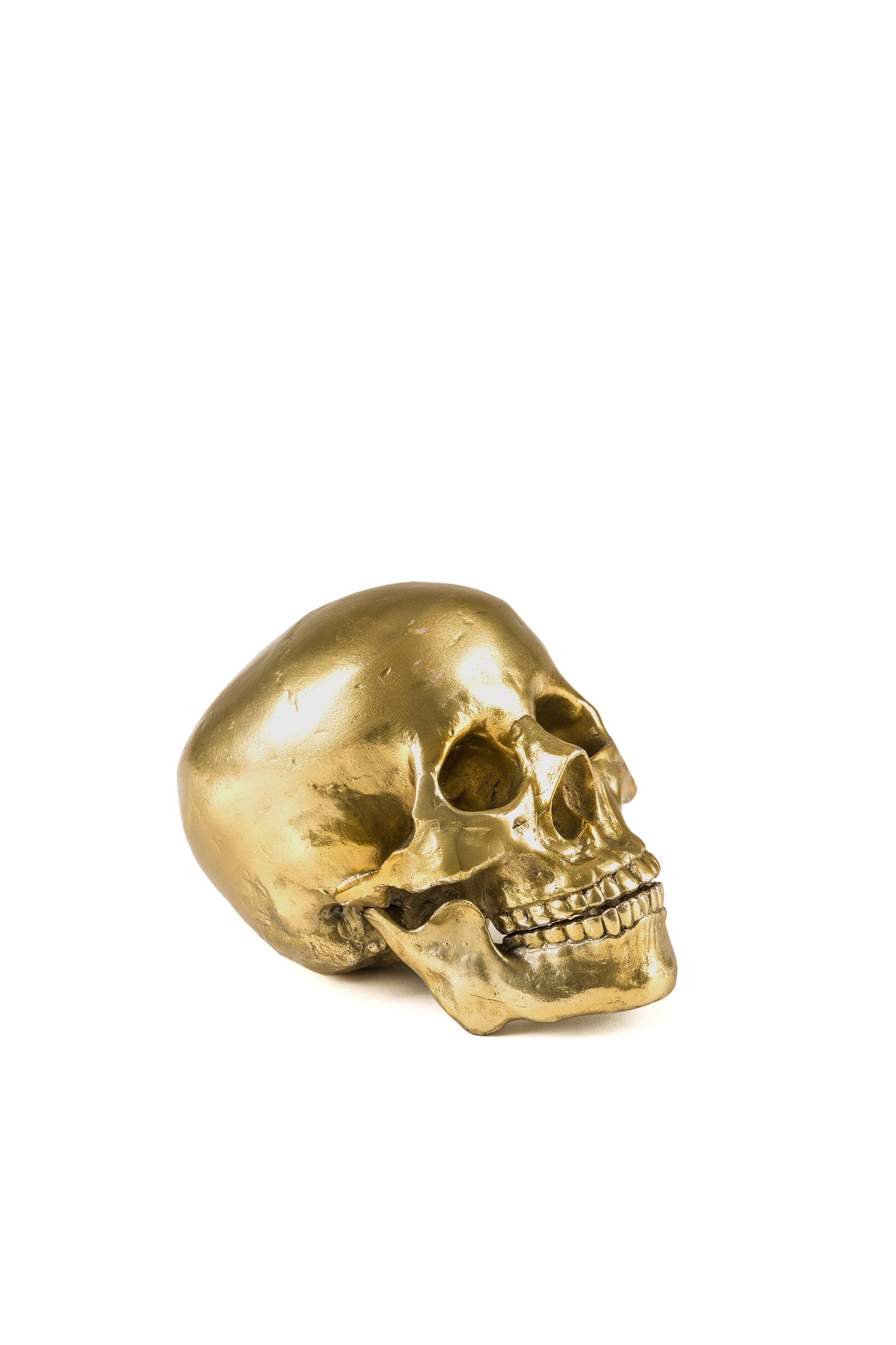 Diesel - 10891 Wunderkammer, Unisex "Culture Skullture" Wunderkammer Human Skull in Gold - 1
